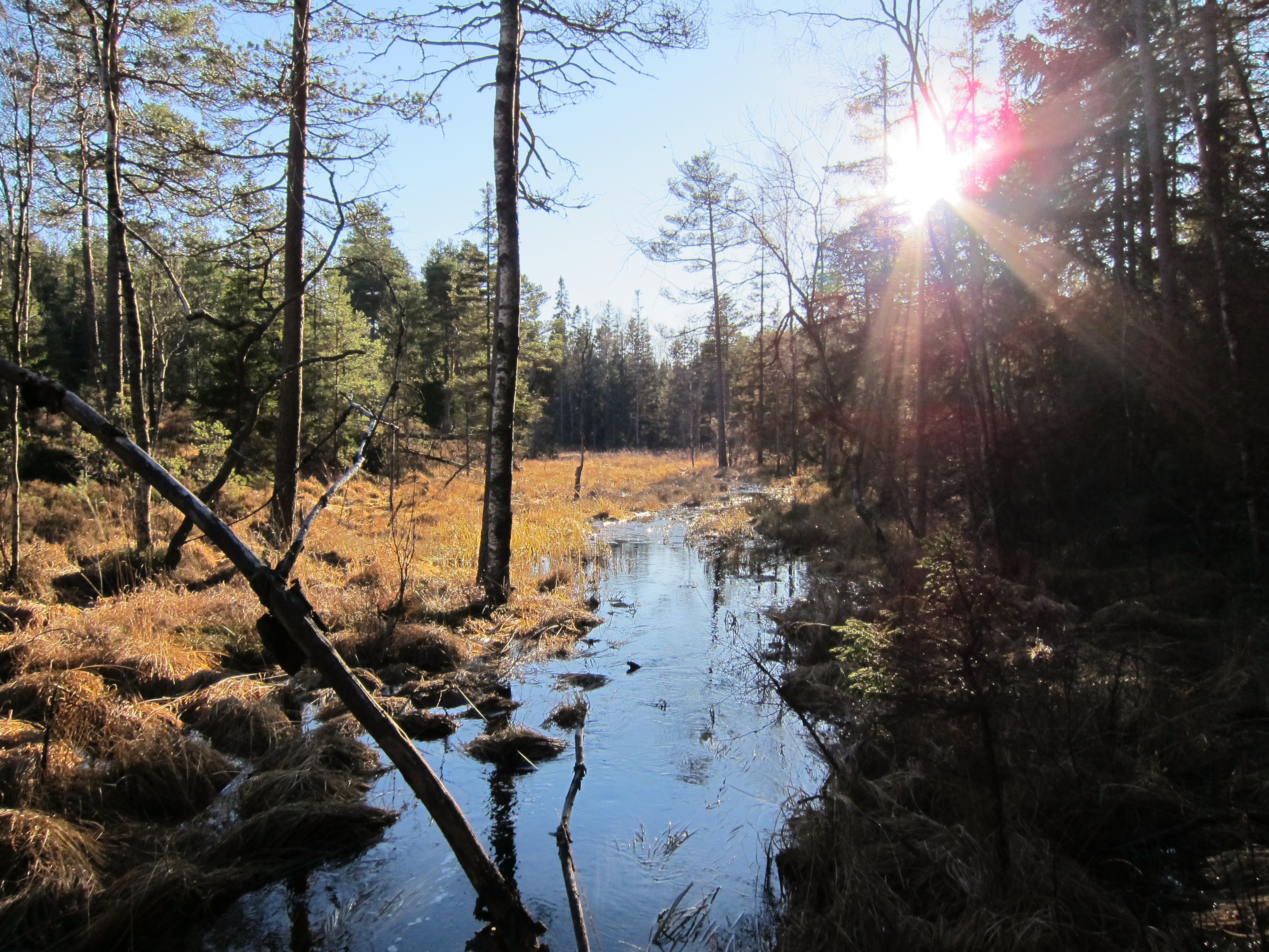 Tresticklan Nationalpark