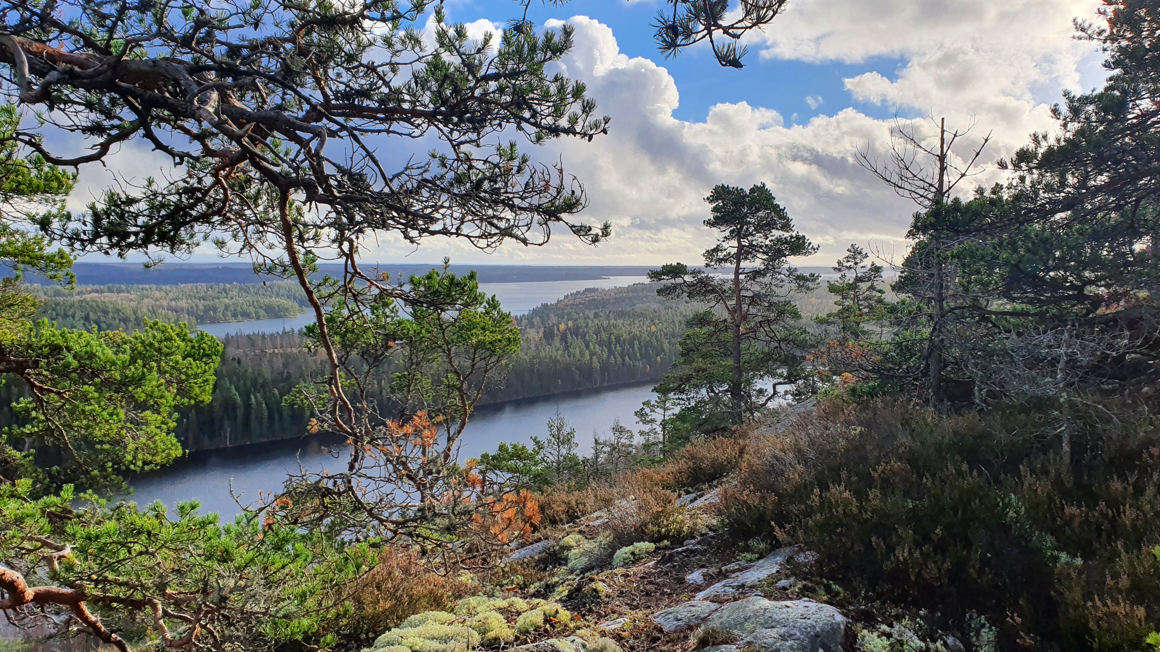 Sörknatten, Dalsland
