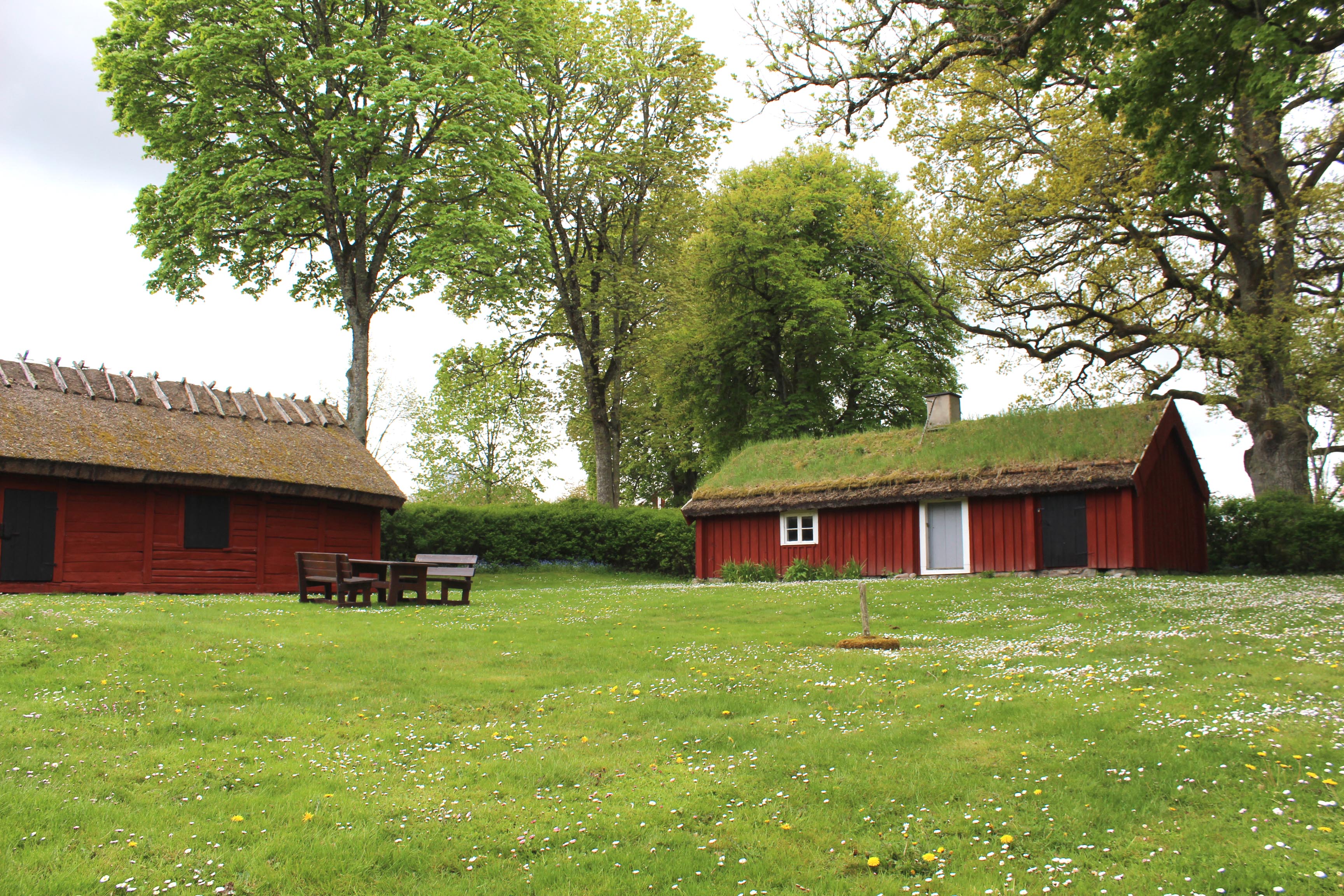 Two red cottages with green grass in front
