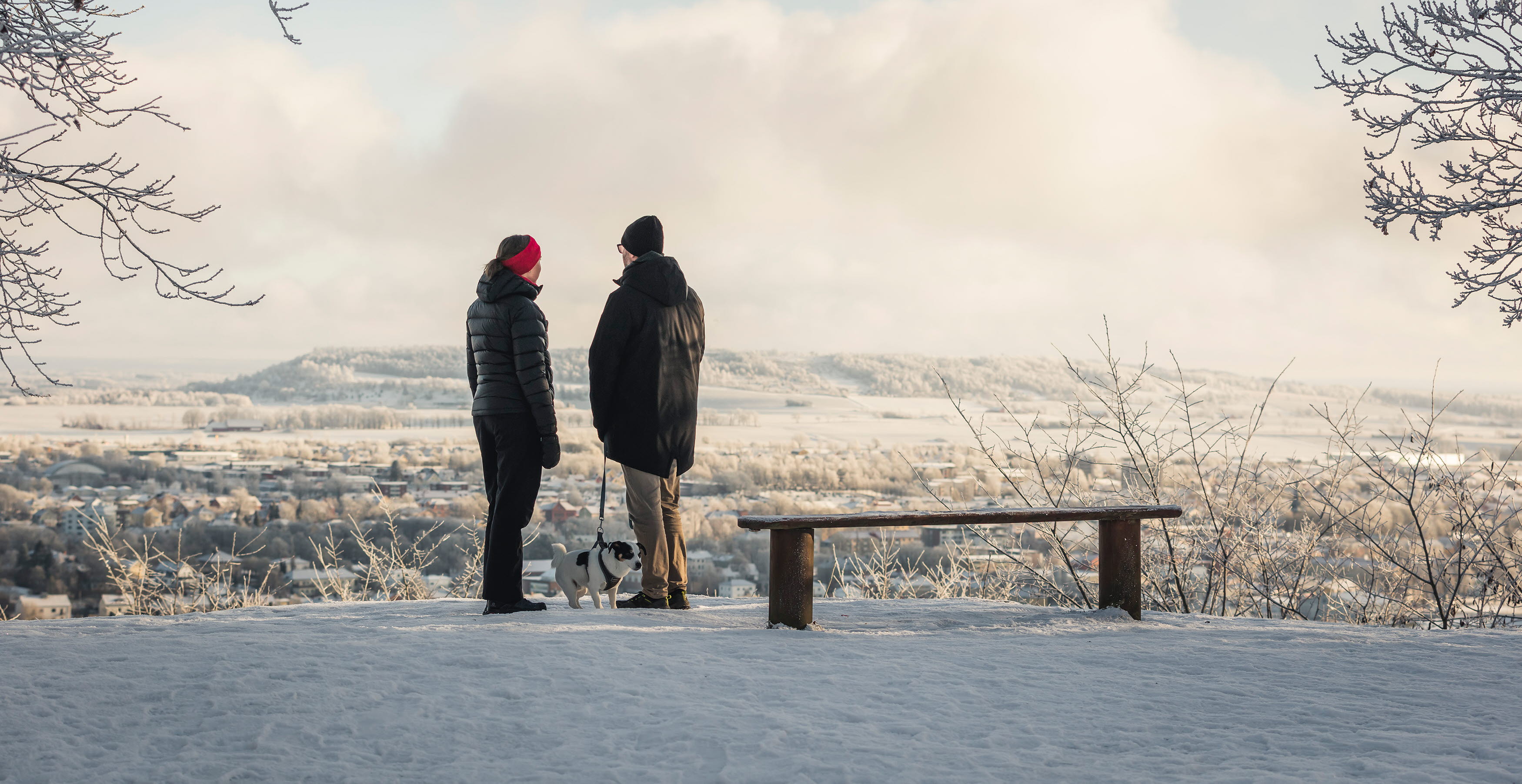 Man and woman standing and looking at the view with a dog. It's winter landscape.