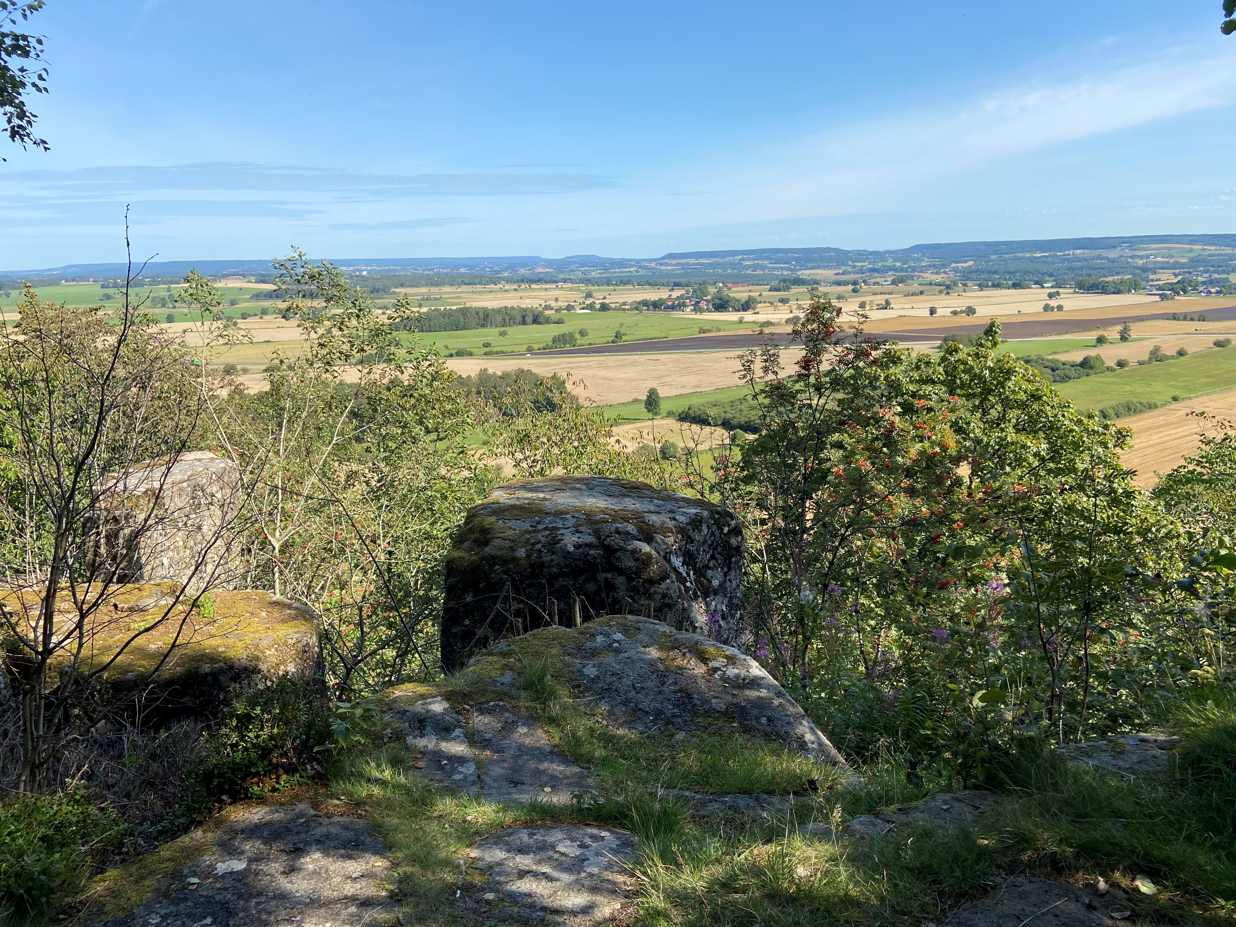 Scenic view with fields and mountains in the background.