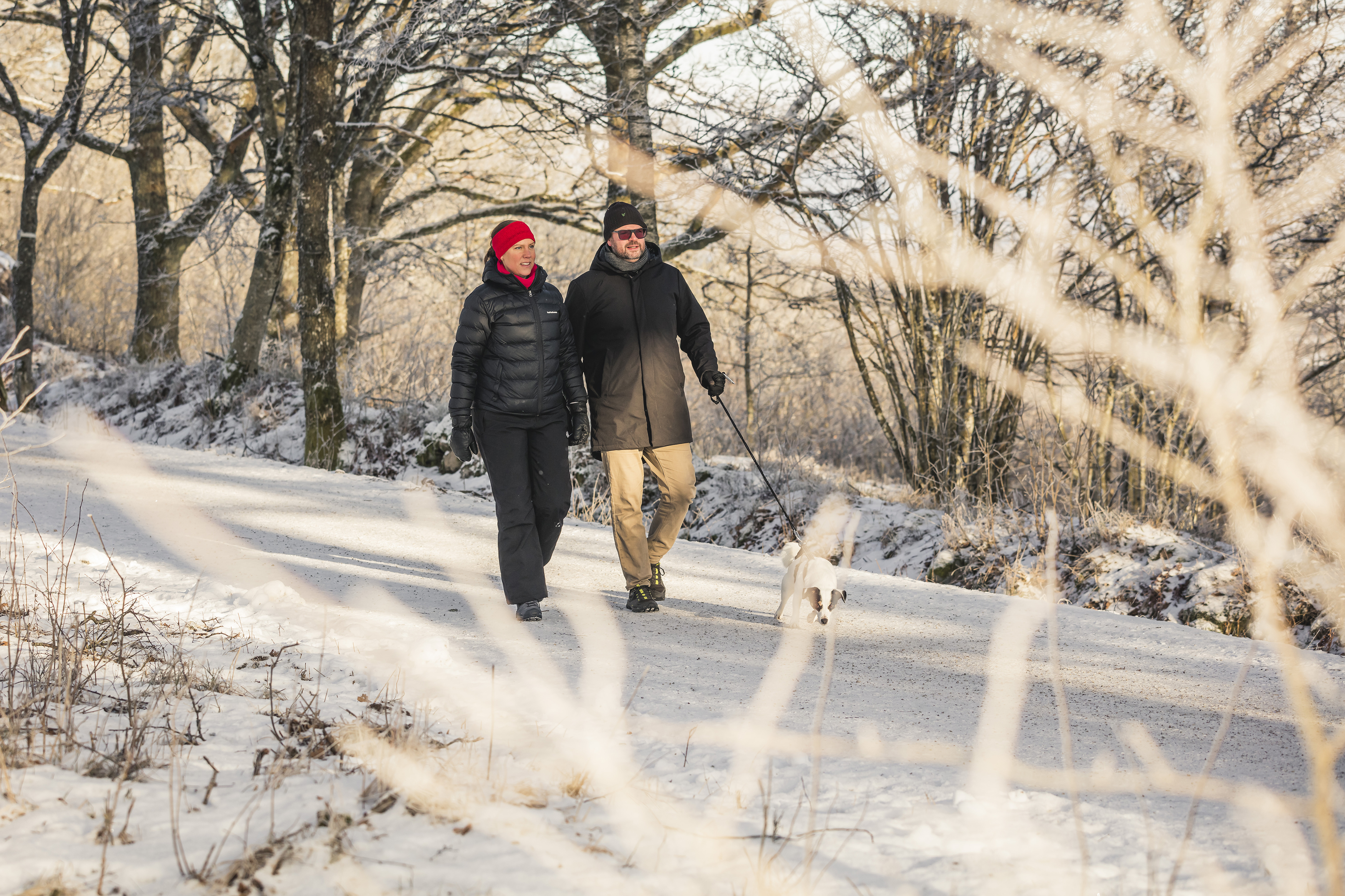 Man and woman walking with a small white dog. It is a snow-covered landscape.