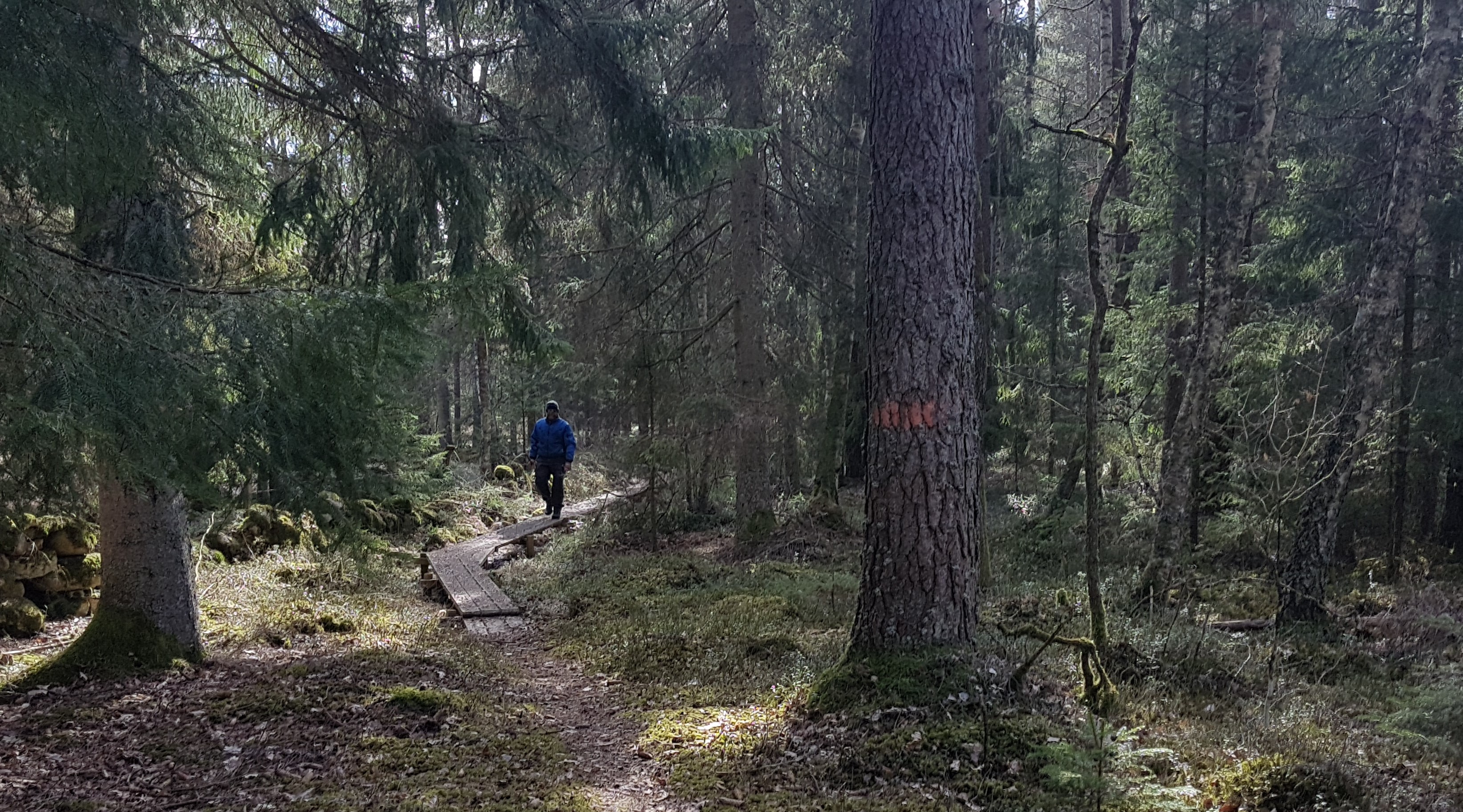 Jällbyled and Herrljunga- Gäsenebygdens pilgrimsleder (
