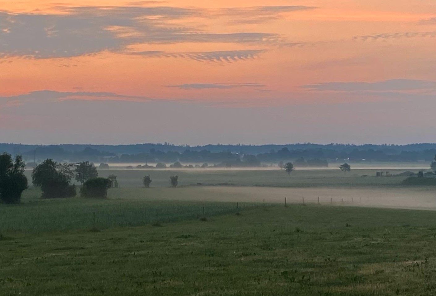 Early summer morning in june. Tarsled area