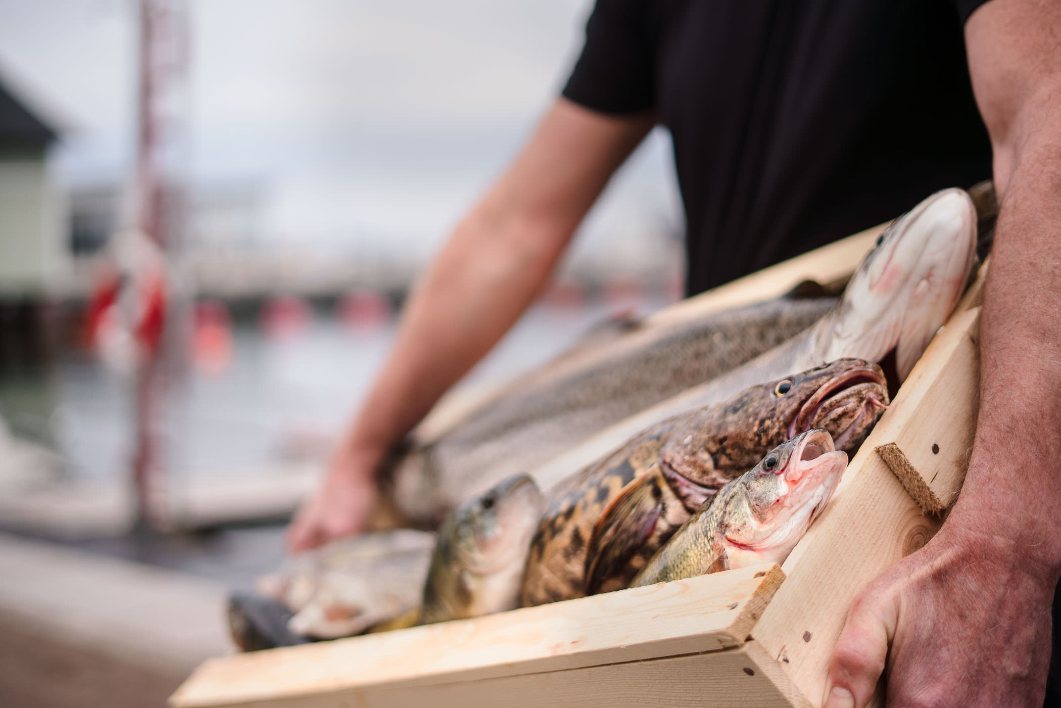 Man holding a box with freshly caught fish. 