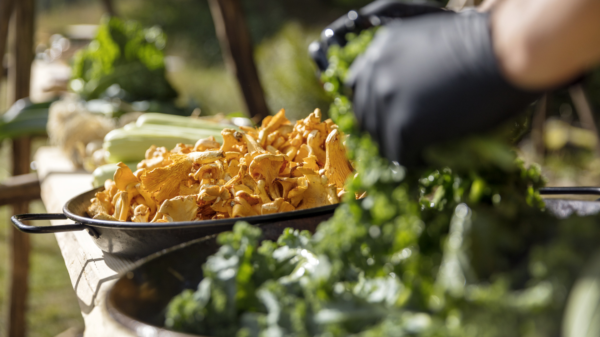 Tiny house on wheels just outside of Hjo, Sweden.