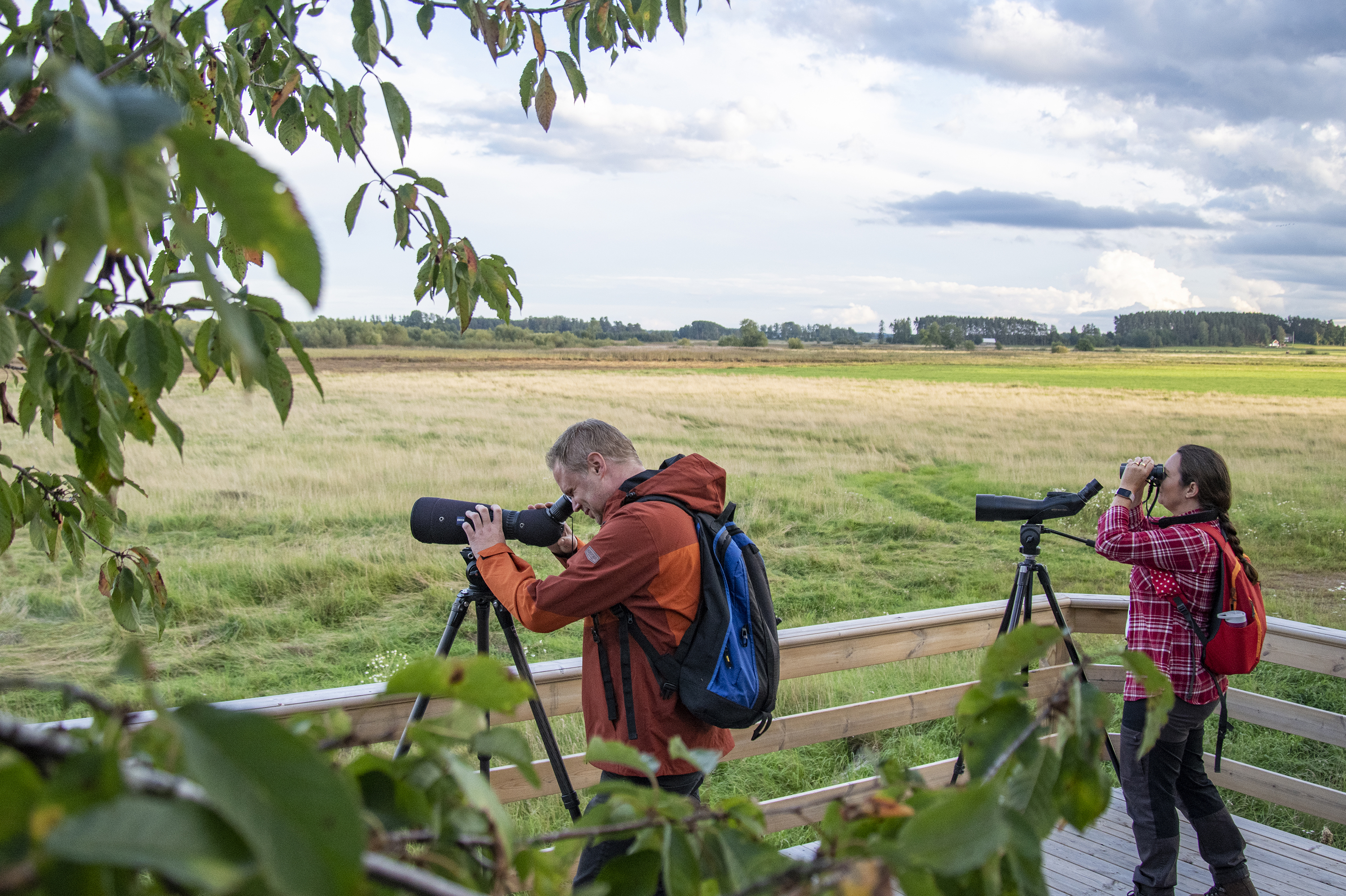 Two people standing with binoculars looking out over the landscape.