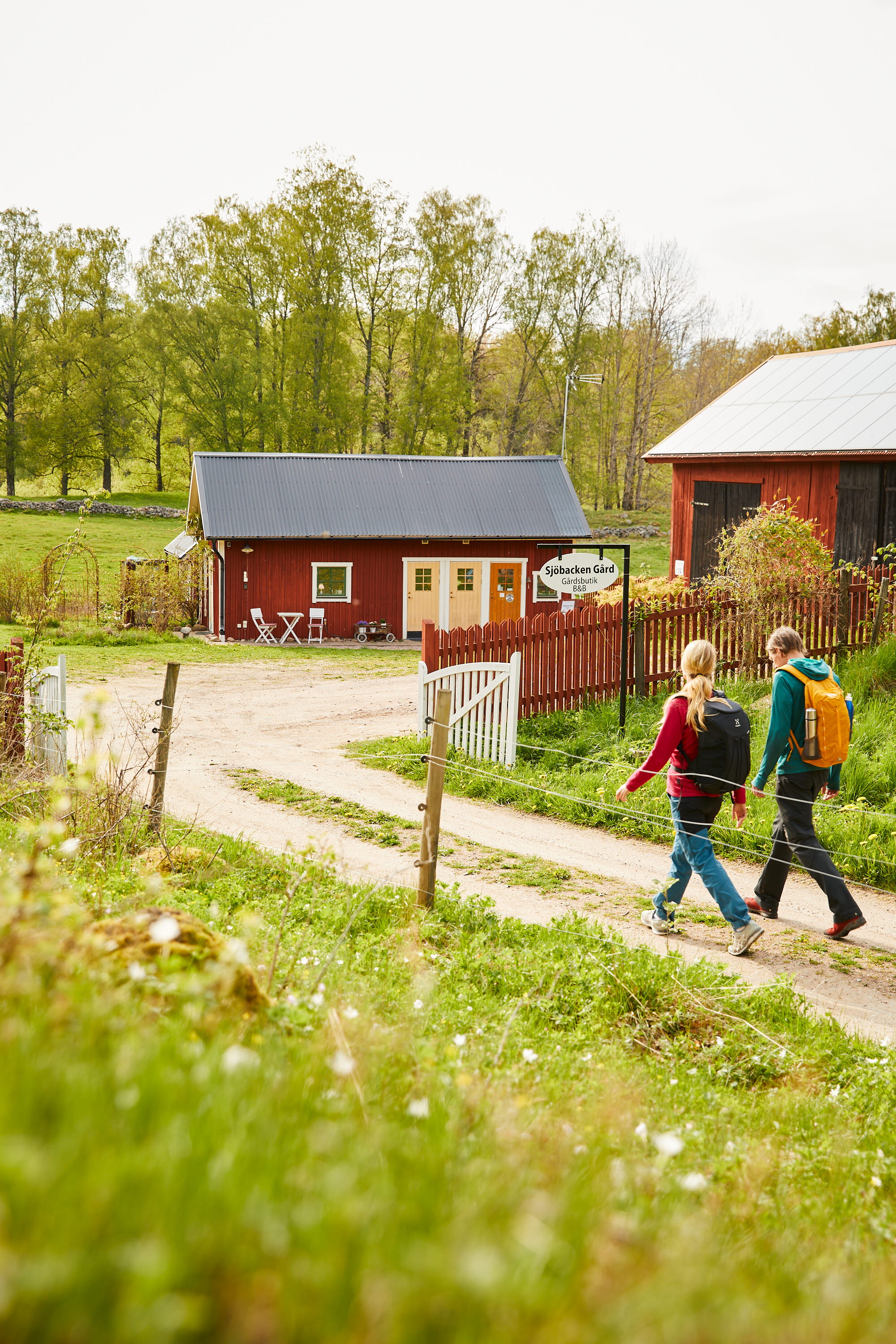Two hikers are walking on a gravel road leading towards a red cottage.