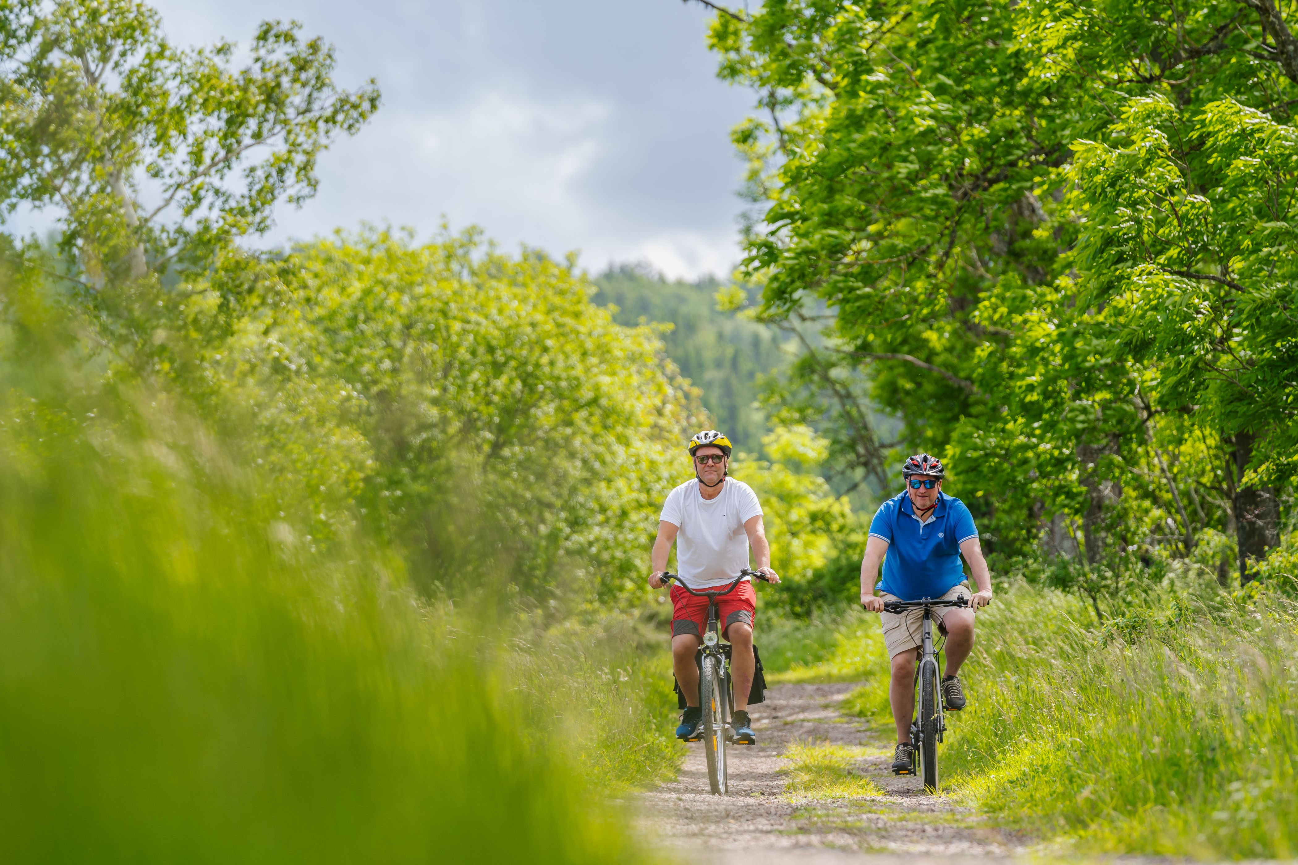 Two persons biking on a road with trees beside. 