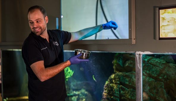 Feeding the fishes at Vanermuseet