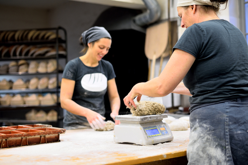 Framnäs Strandpark with the sculpture HOLD, a large contemporary artwork by the waterfront surrounded by water and walking paths.