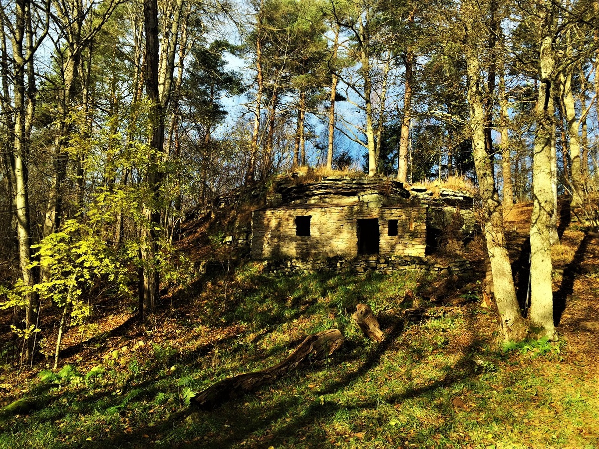 A cave out in the forest with two small openings as windows and a bigger as door. The sun is shining and the trees creates shadows on the ground.