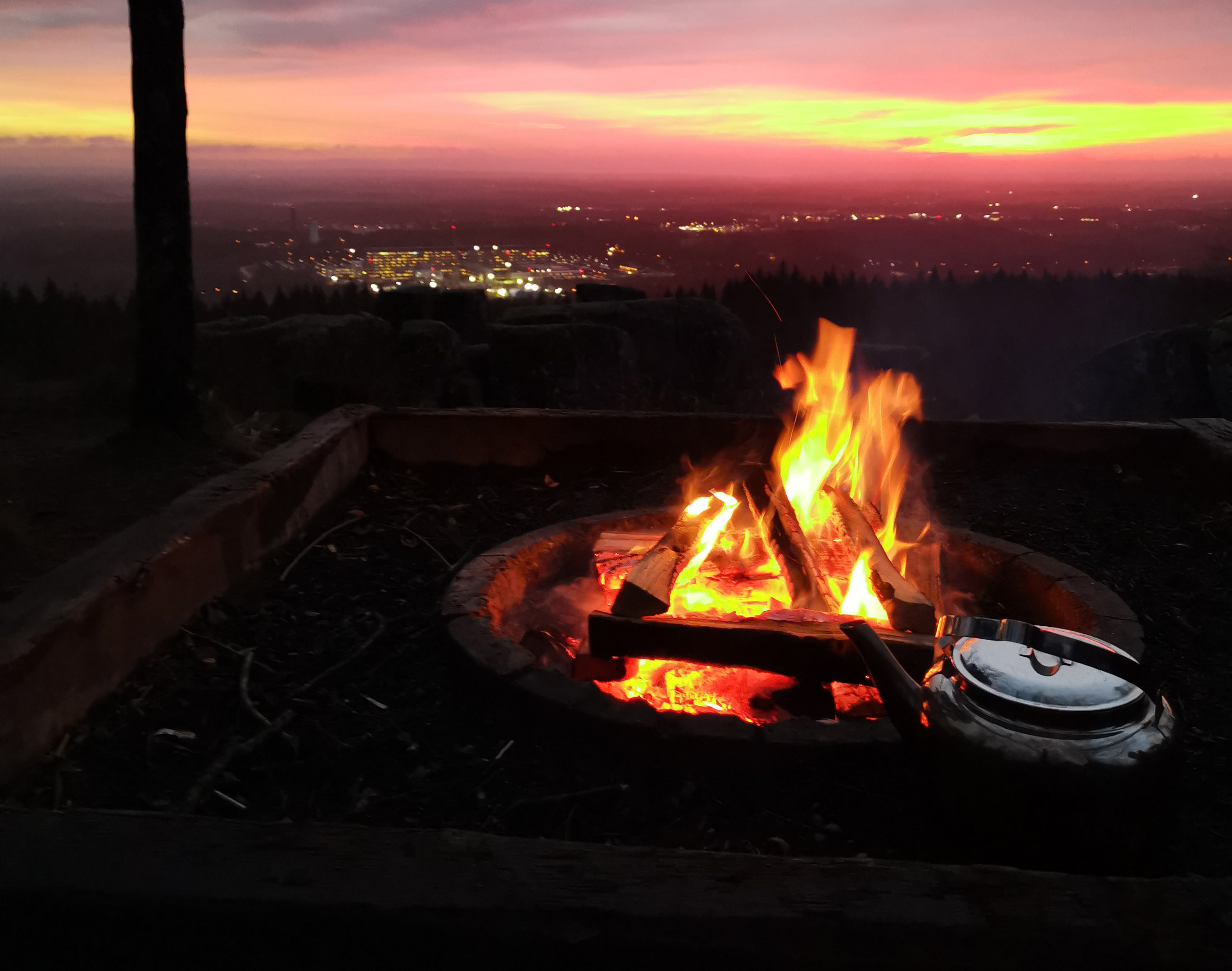 Two men ride MTB on a dirt road in the green nature.