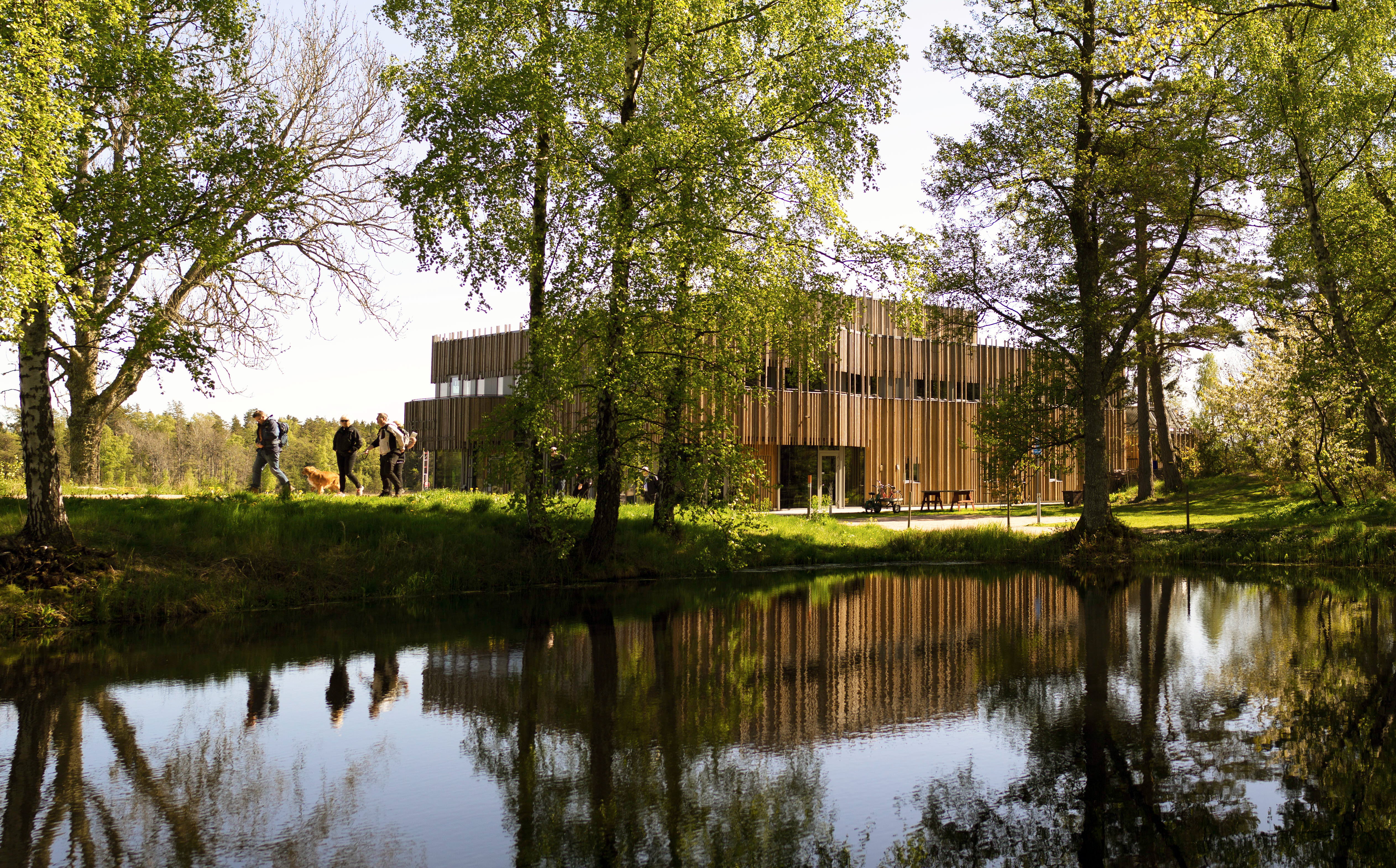 Building reflecting in the water.
