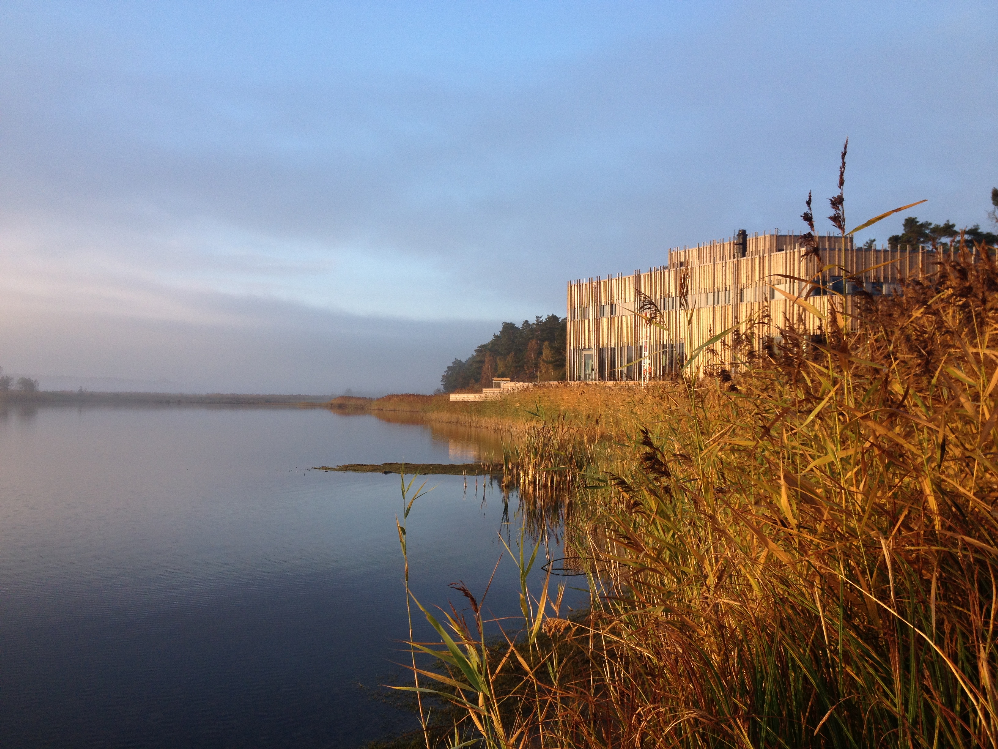 Naturum at Läckö Slott a sunny autumnafternoon. The water is peaceful and the reed is orange.