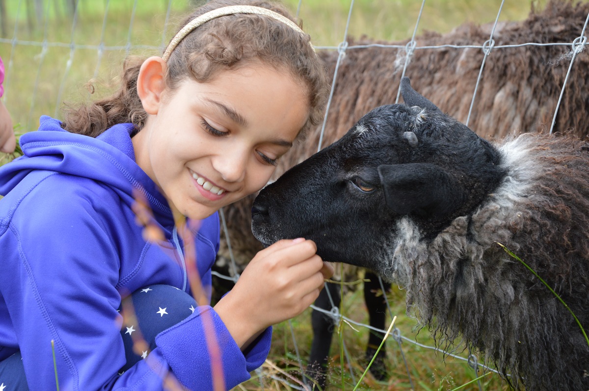 A girl cuddling with a sheep