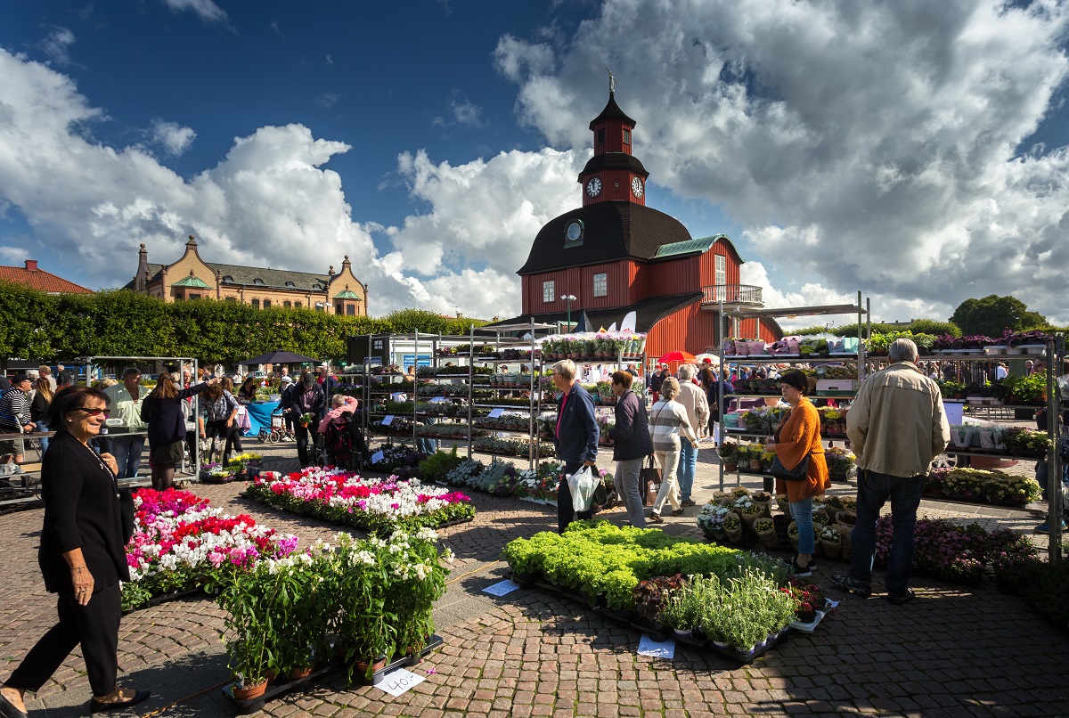 Market on the square with a lot of flowers and people shopping. In the background is "Rådhuset", a red wooden building. 