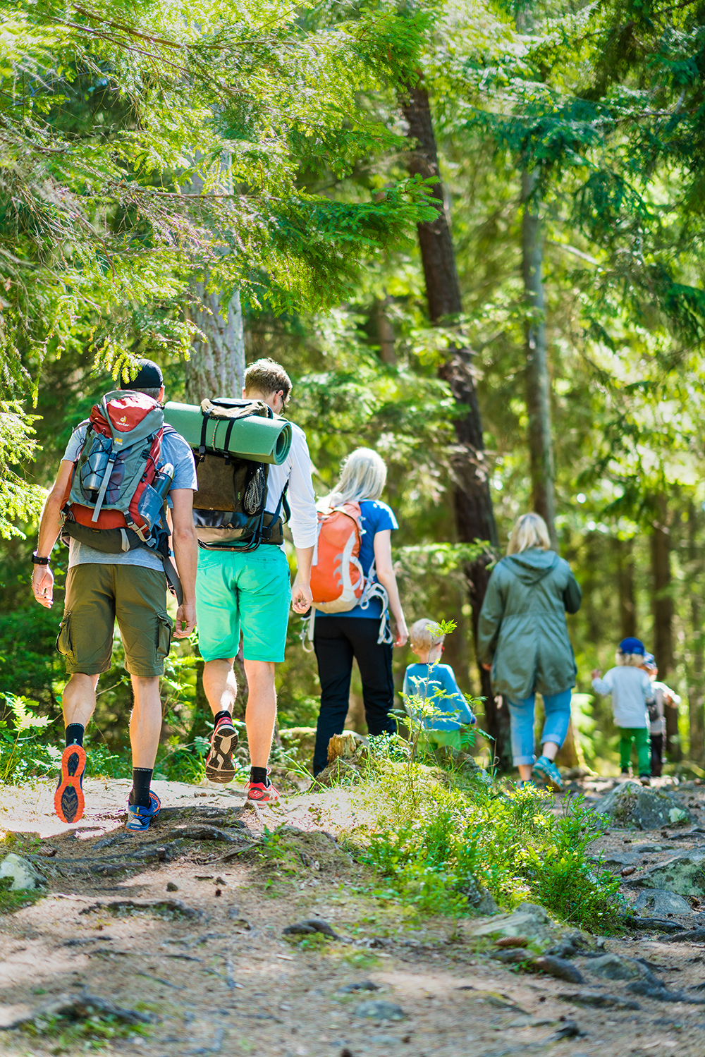 Seven people hiking in beutiful nature with trees. They have backpacks. 
