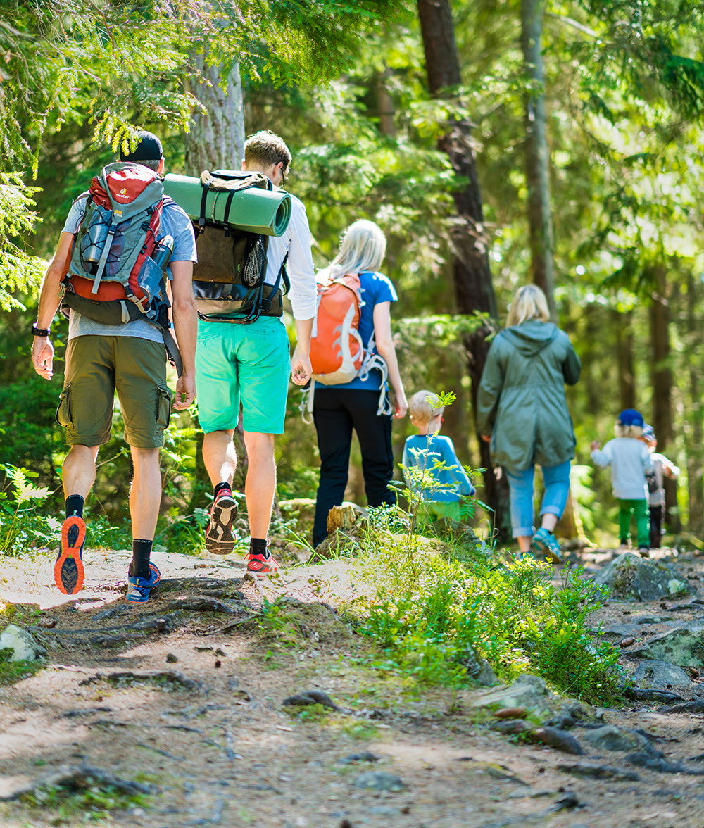 Seven people hiking in beutiful nature with trees. They have backpacks. 