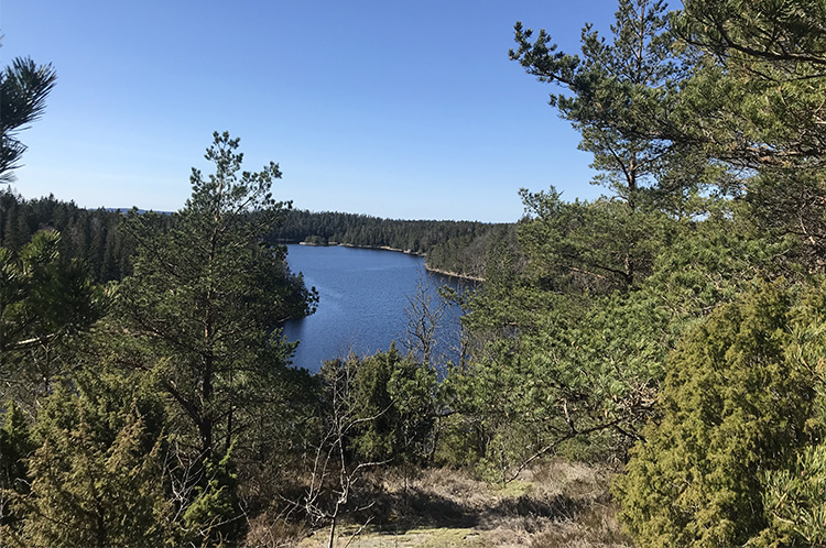Skarsjön 