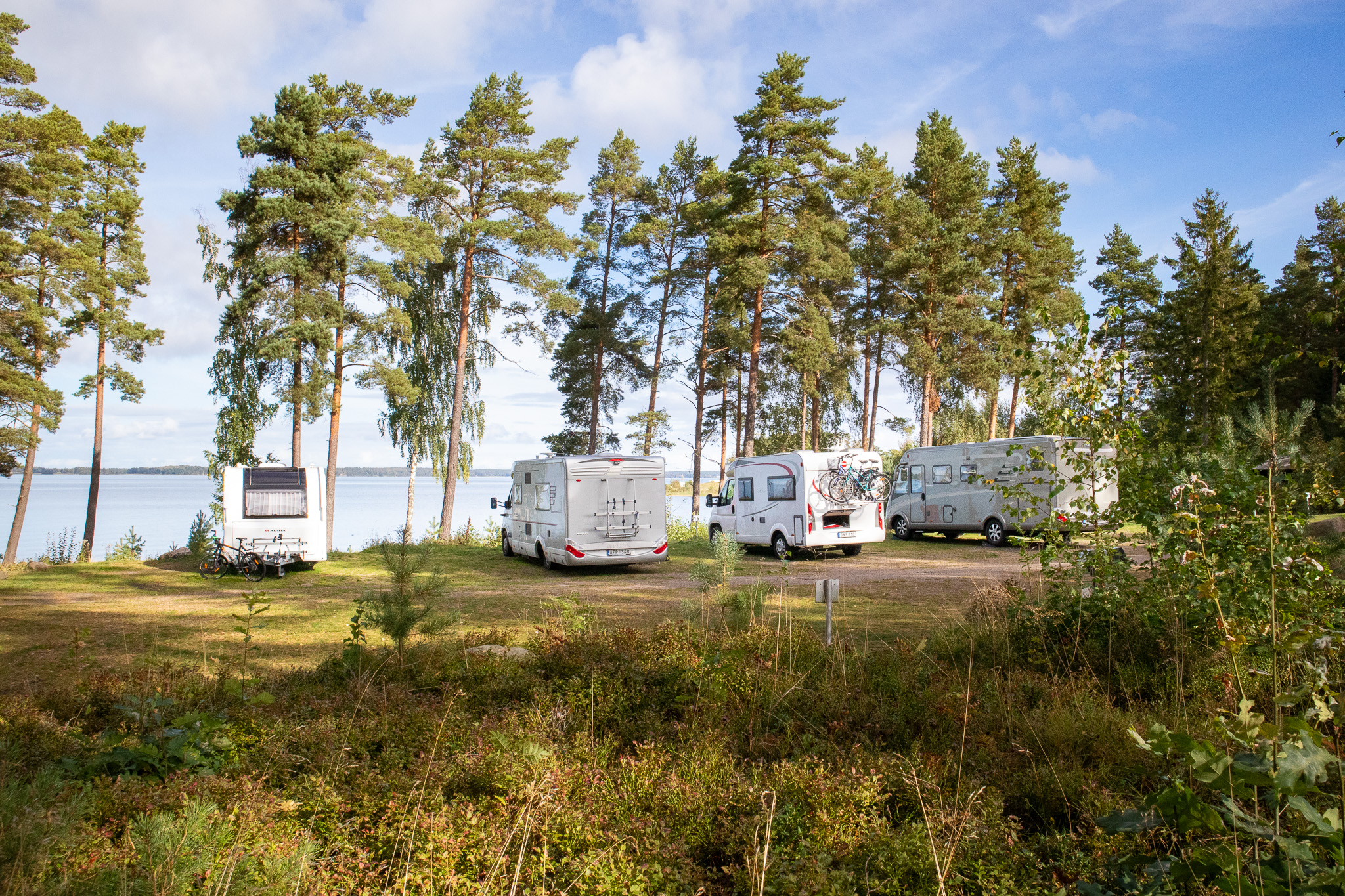 Four campers parked in nature by the water.