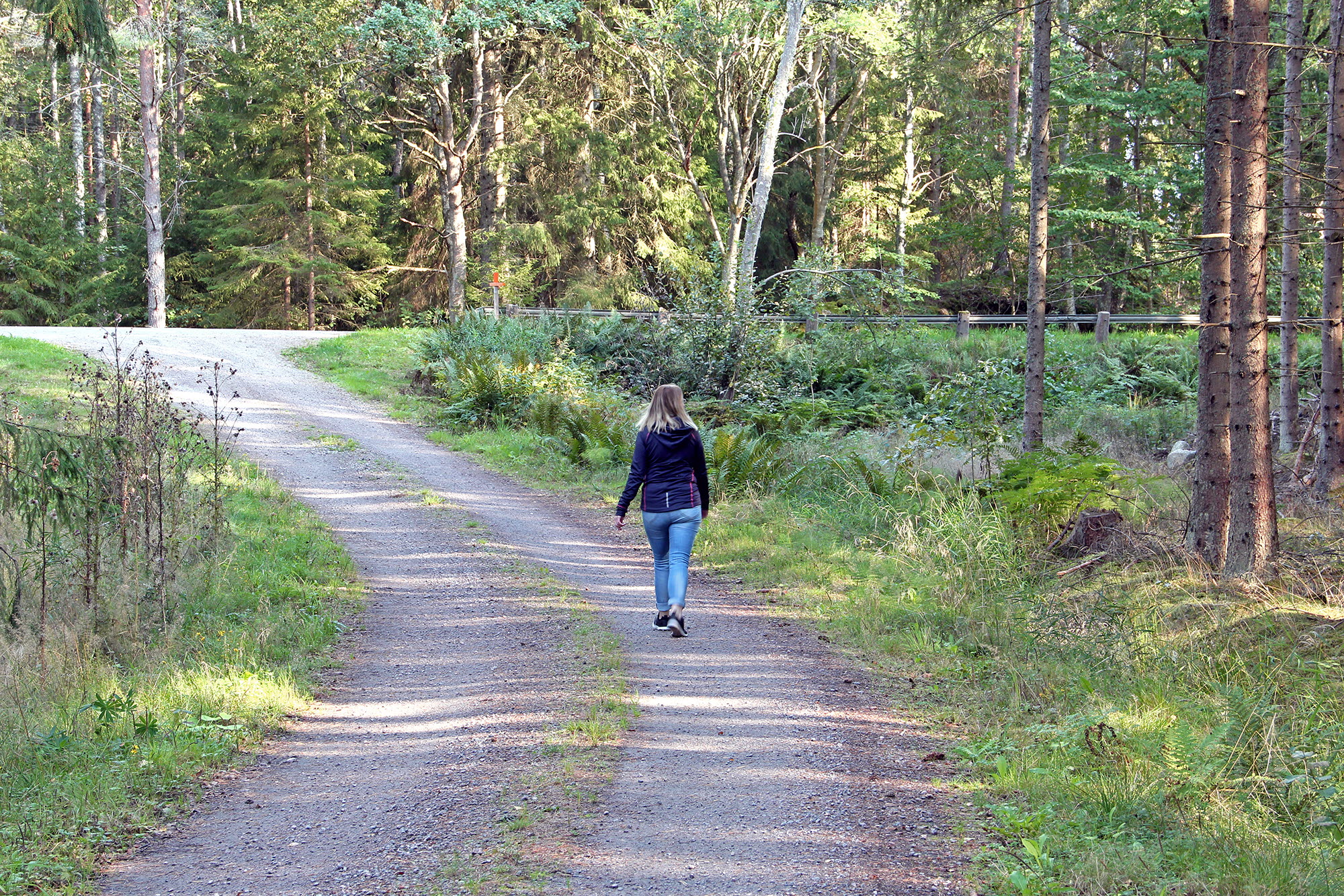 Hiking on the island Torsö.