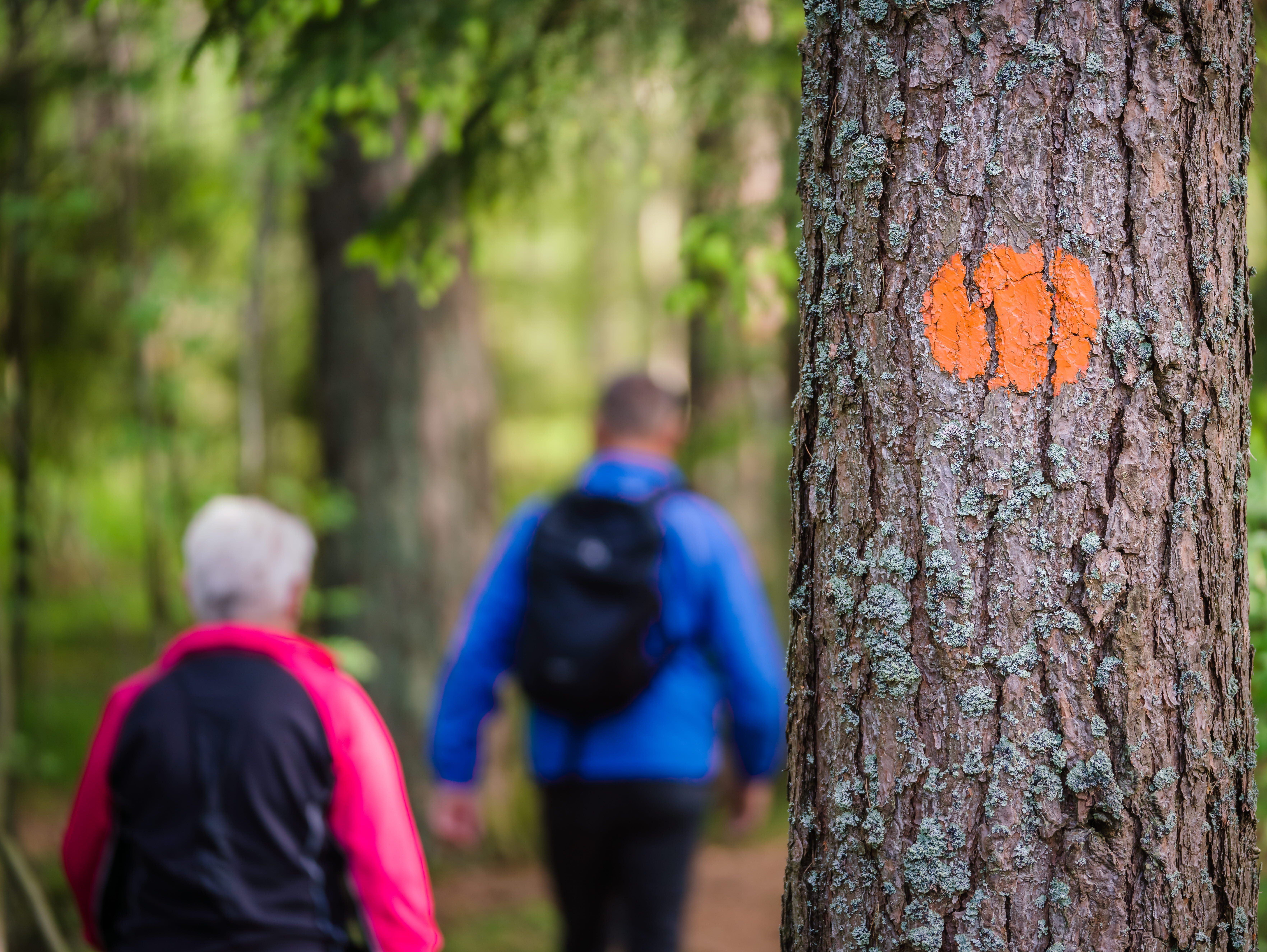 A hiking trail marked on a tree with a couple walking in the background.