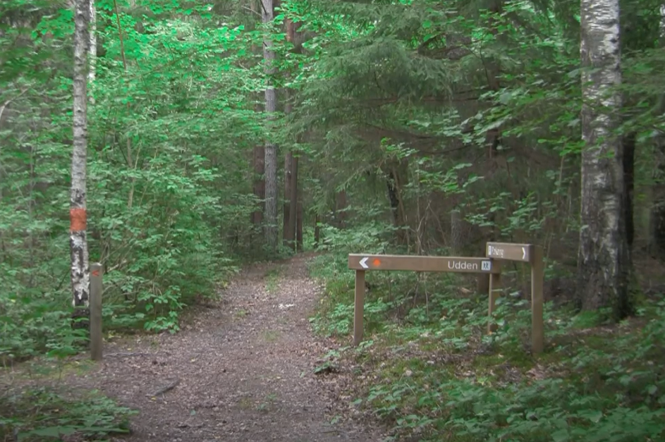 Ryr Naturreservat