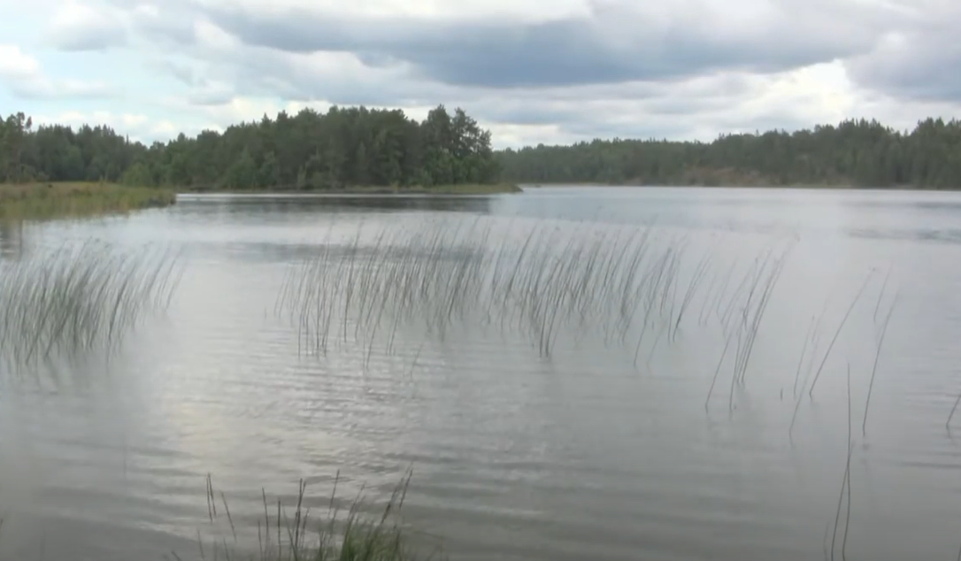 Ryr Naturreservat