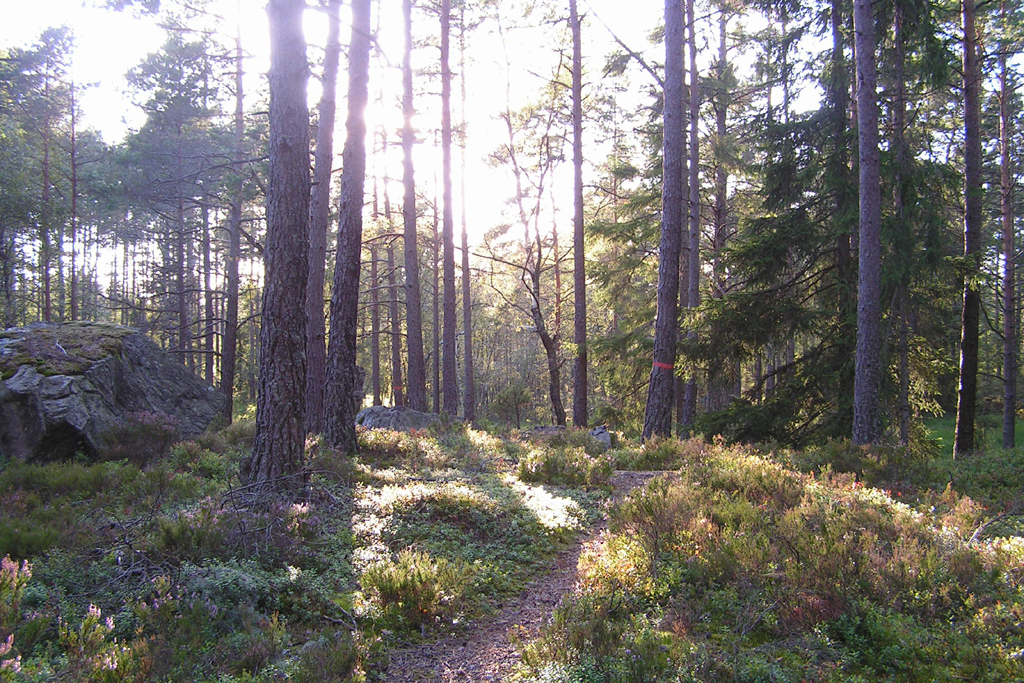 Photo from Bohusleden.