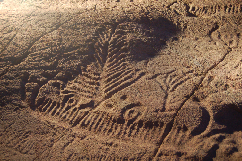 Photo of the rock carvings at Lökeberg.