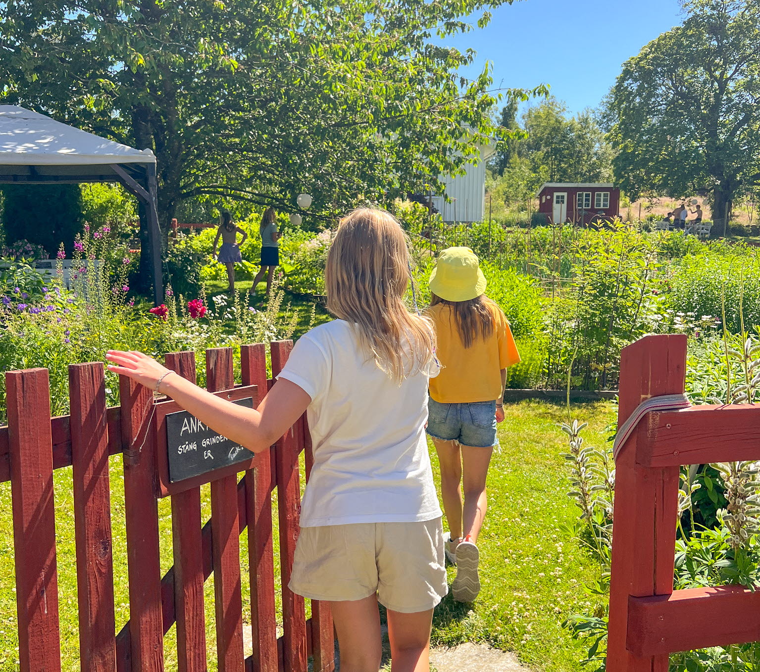 Töllås Fårgård