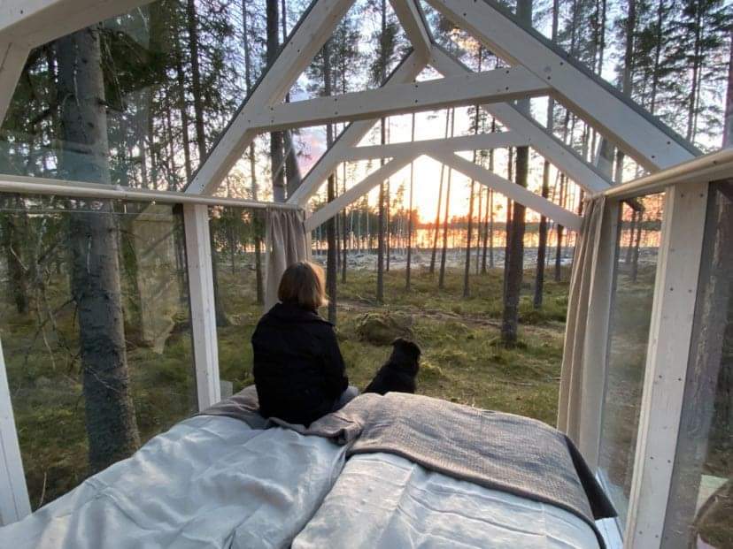 House of glas in the woods by Erikson Cottage