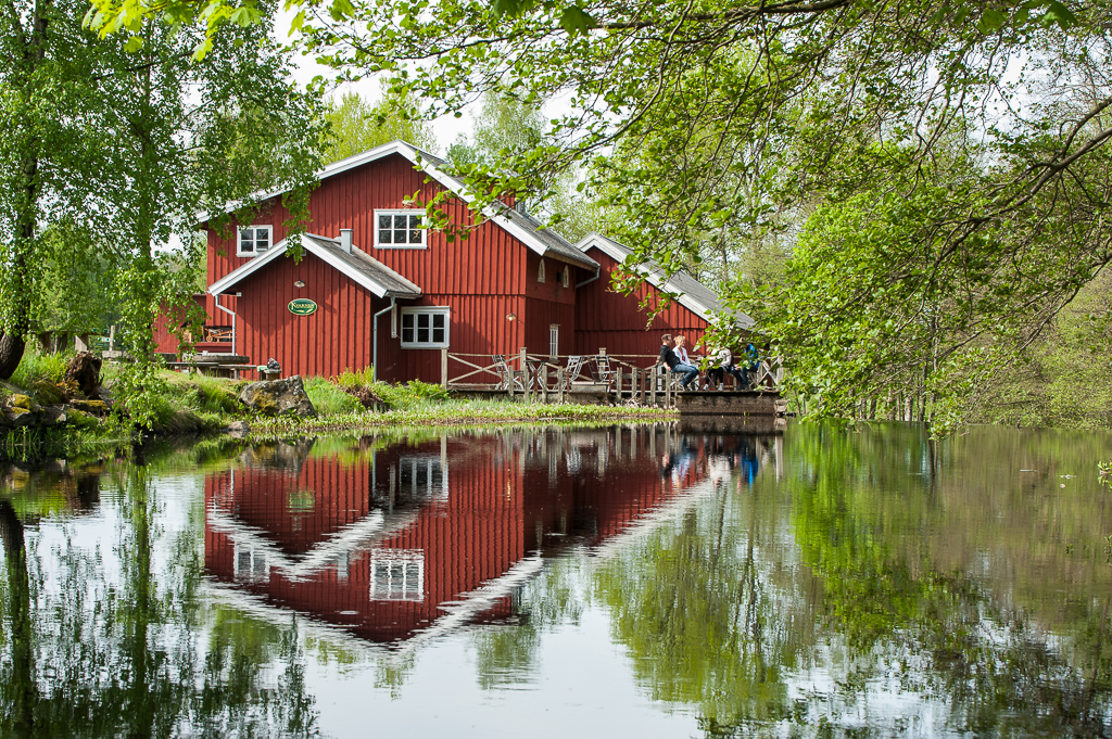 Tree house hotel in the woods.