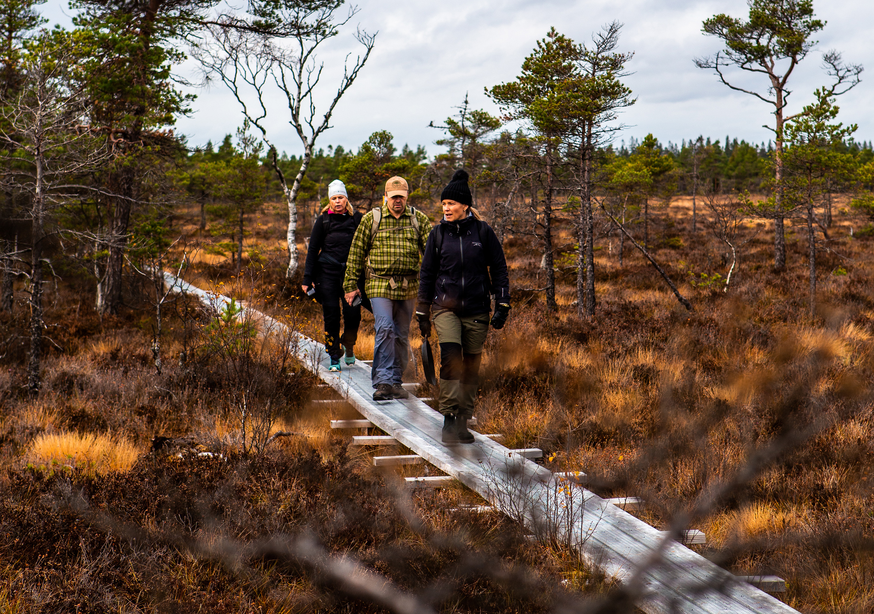 Three hikiers on an autumn day.