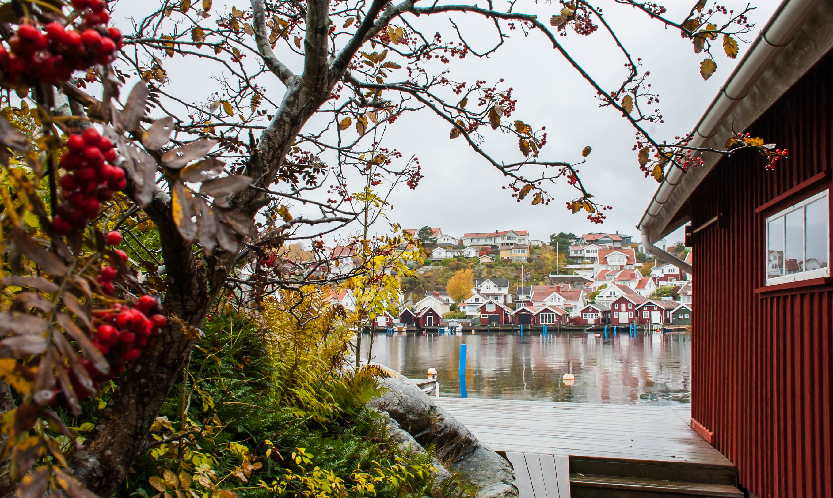 Autumn colours on Östersidan Skaftö