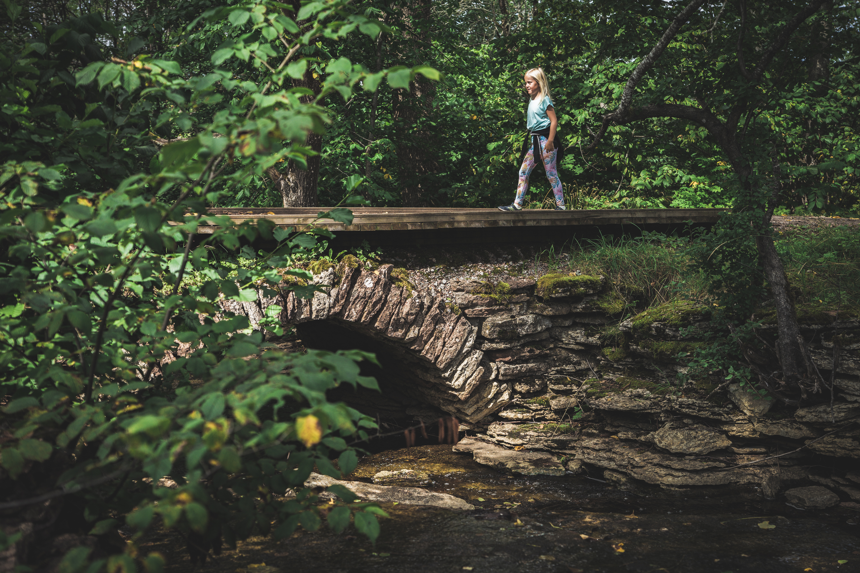 A child is walking over an arched stone bridge. The environment is green and lush.