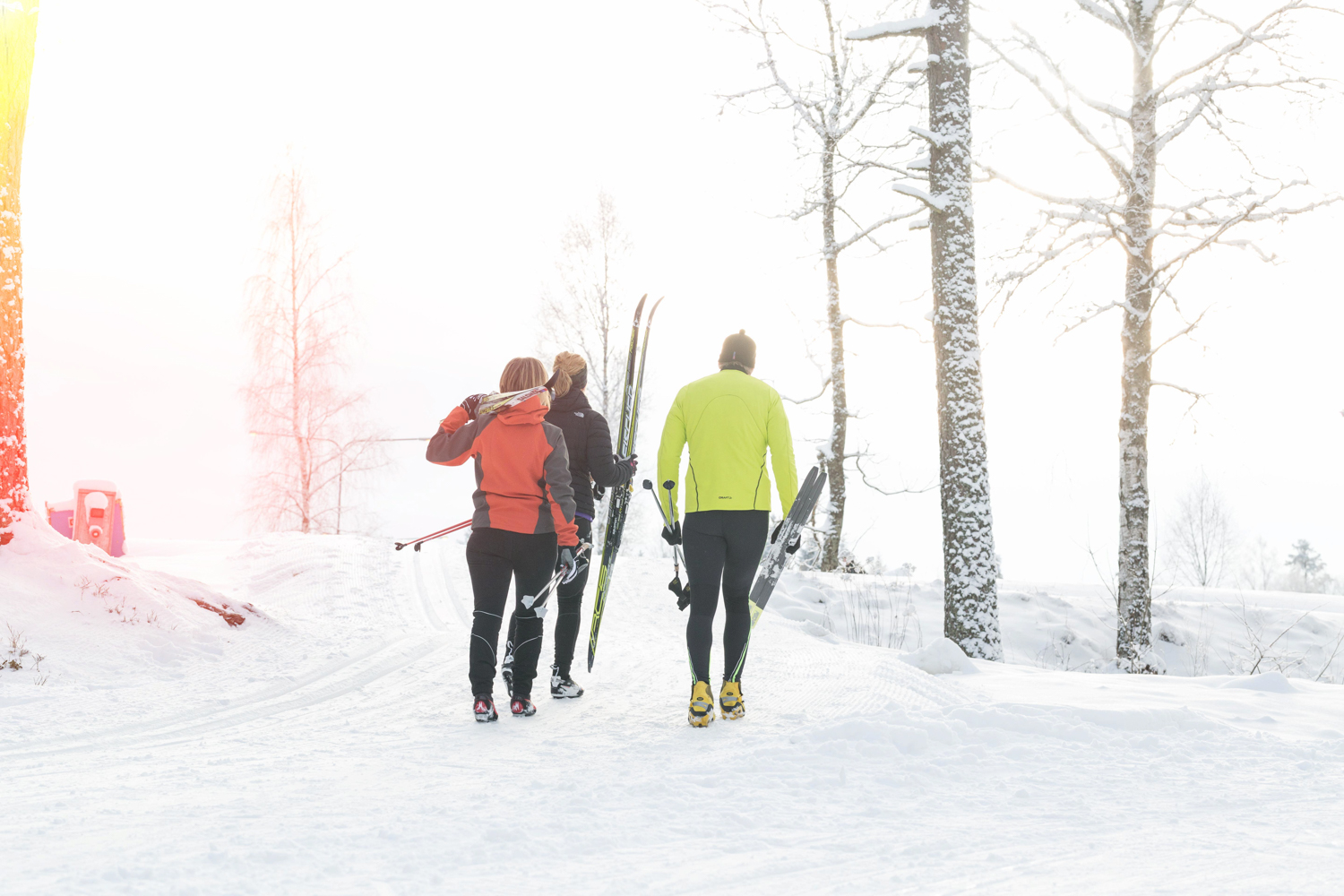 Two people are walking on a trail surrounded by budding trees and spring flowers.