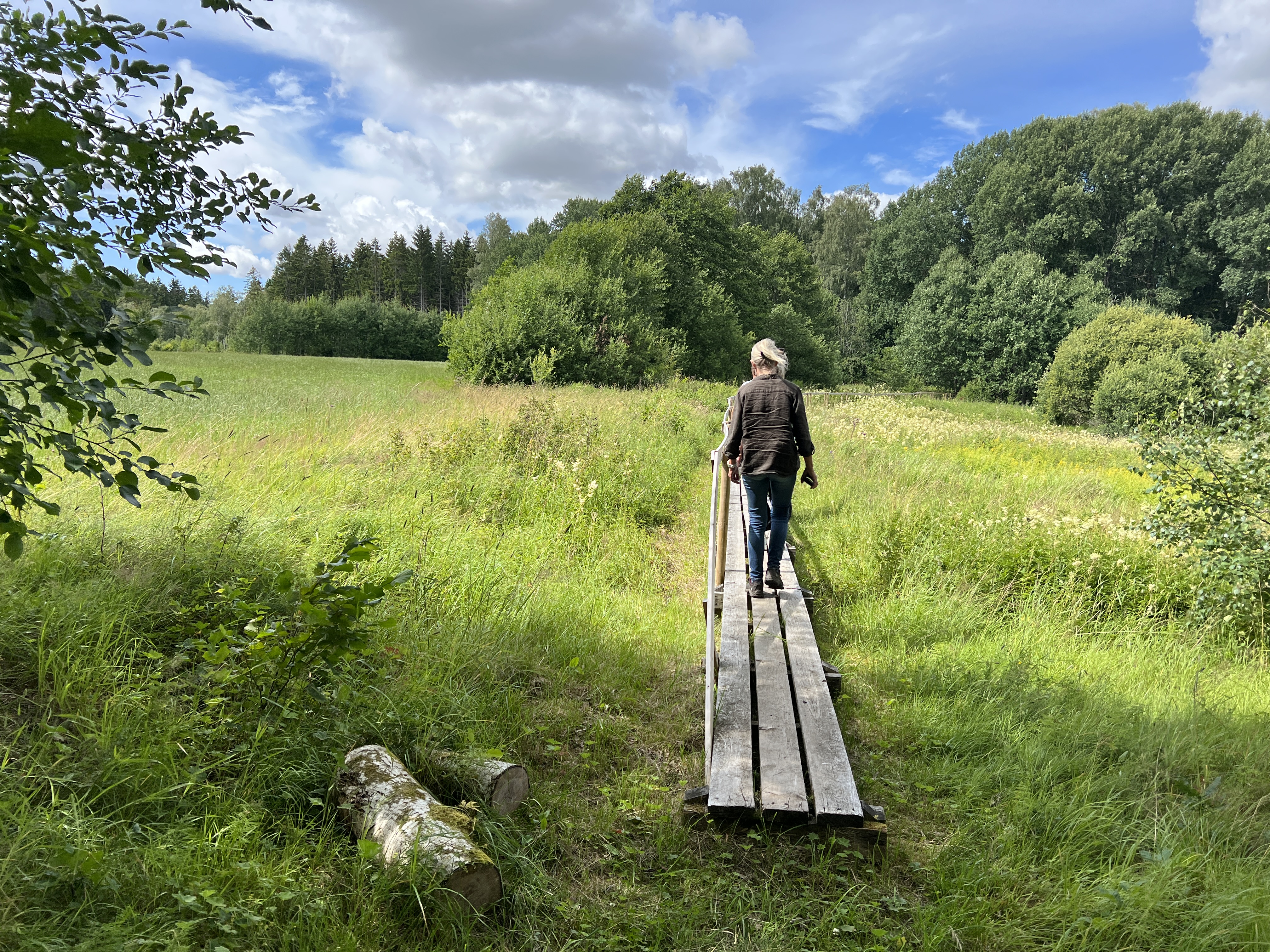 A person in a brown shirt is walking over a span. The grass is green.