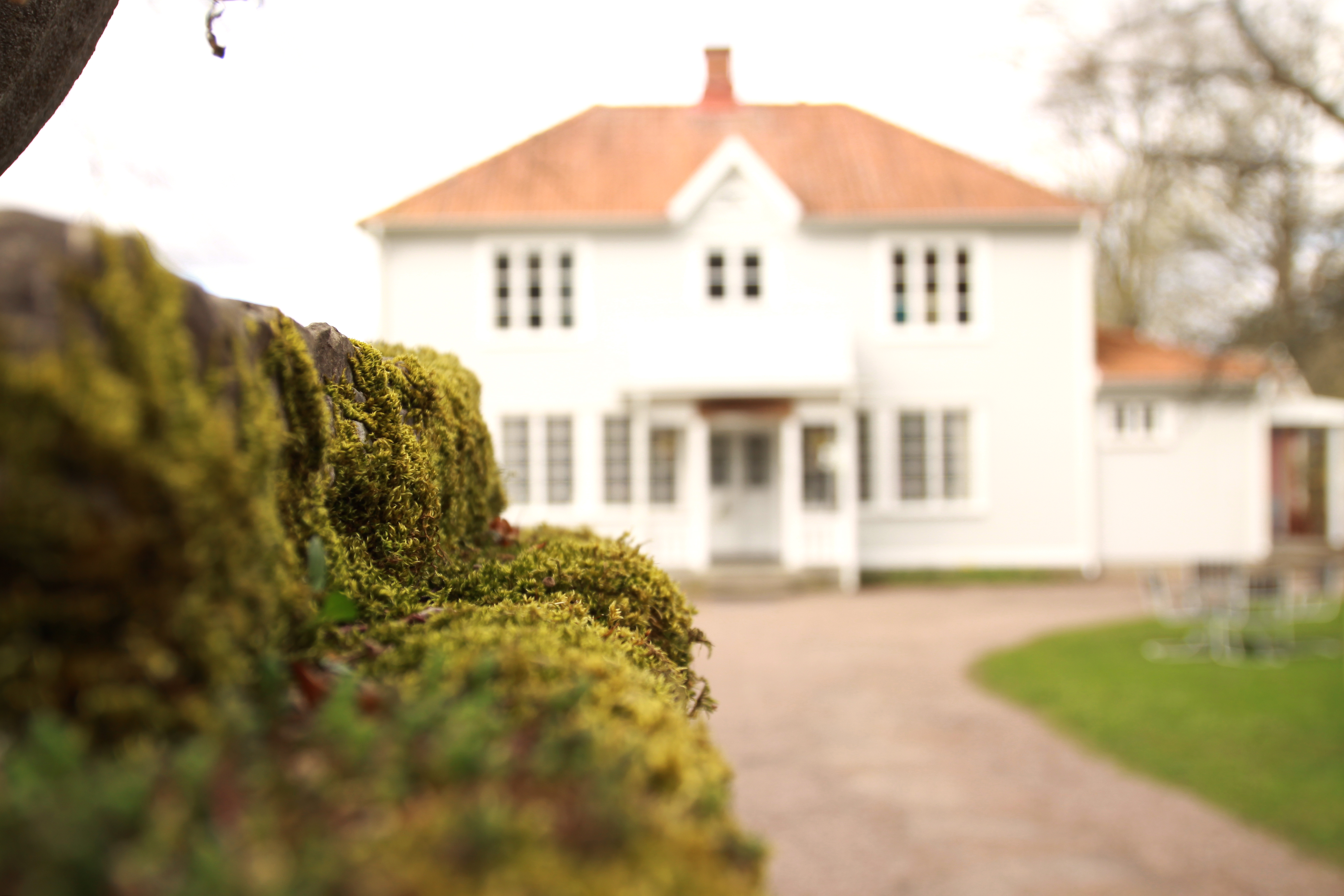 An older white buildning with a lot of windows. There is a mossy stone wall in the foreground.