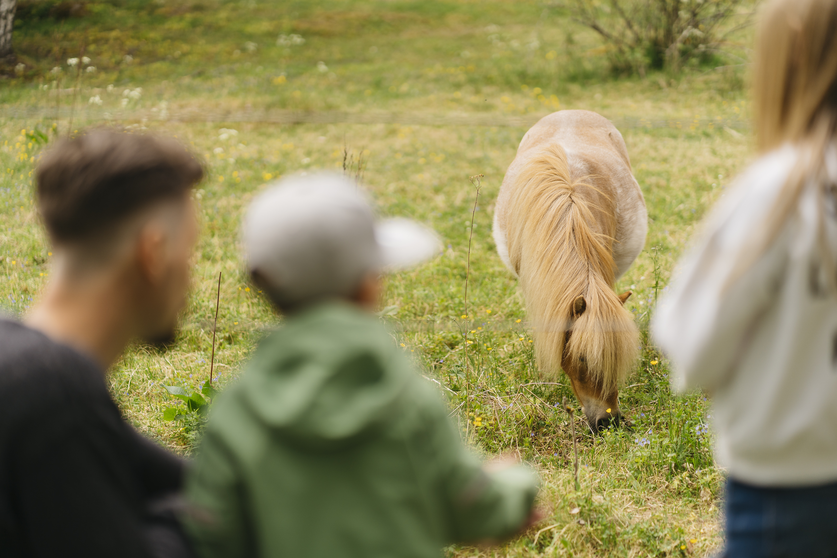 Family looking at a little light brown pony.