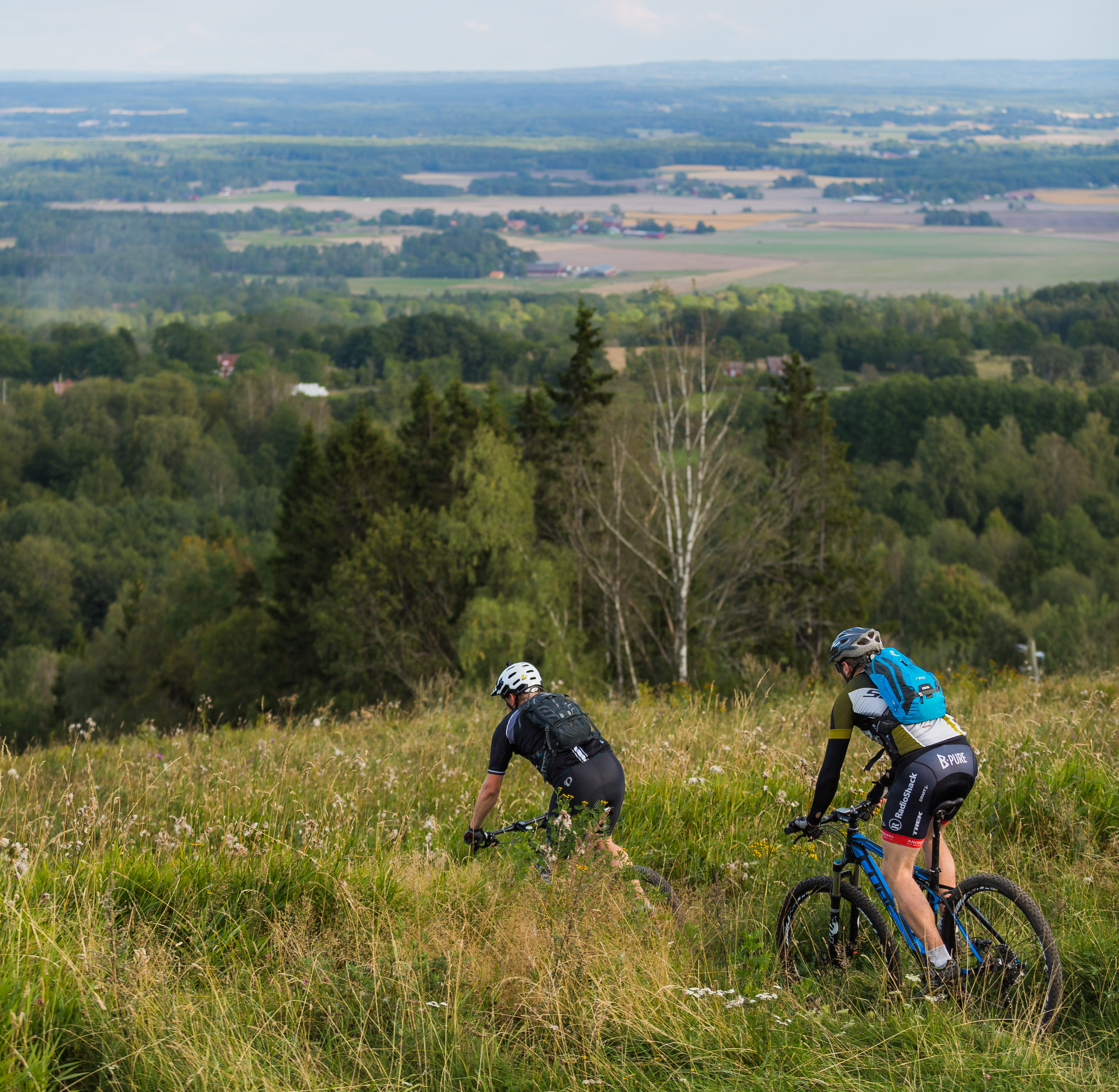 A sculpture formed as a human head with a big nose and a big mouth.