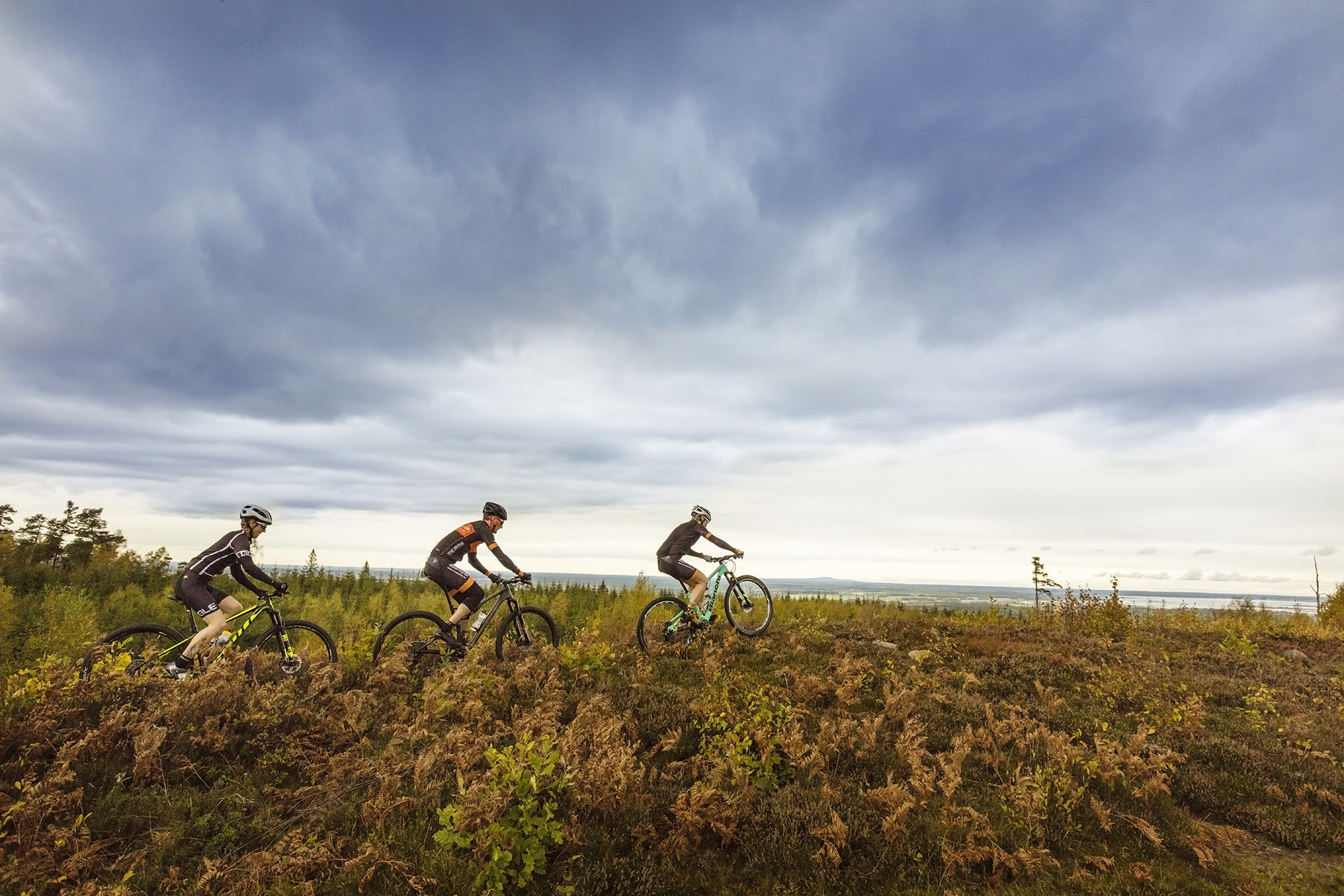 Three mountain bikers ride their bikes on the top of a mountain with great view over the landscape. In the background, dark dramatic clouds appear.