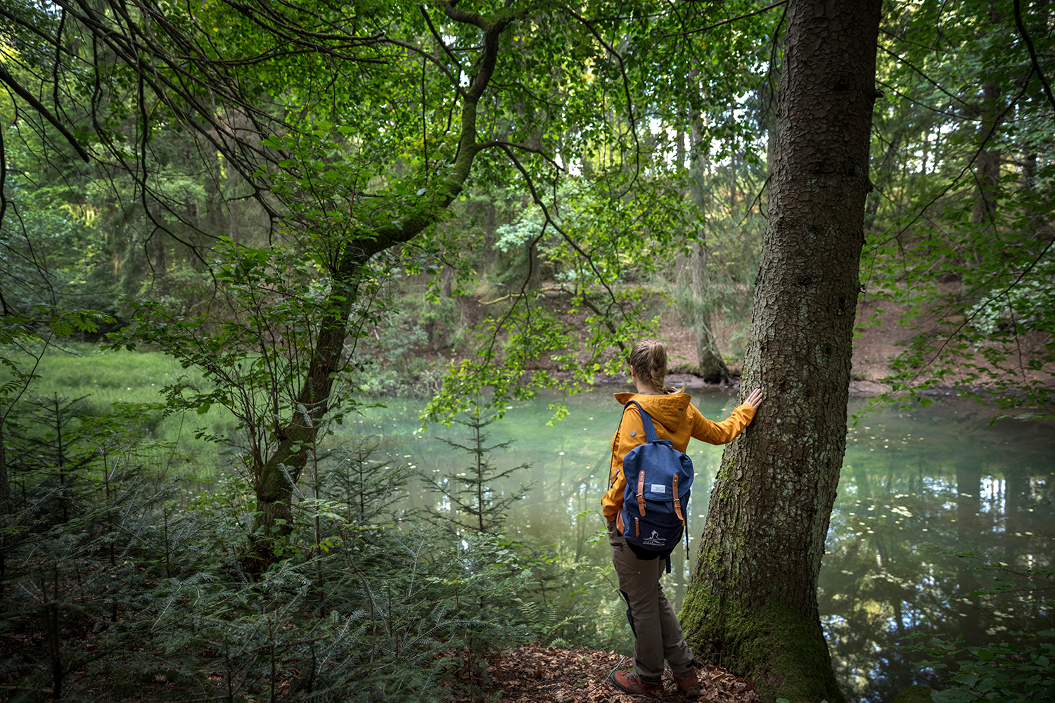 A woman with a yellow jacket and blue backpack looks out over a small forest lake surrounded by the magical forest.