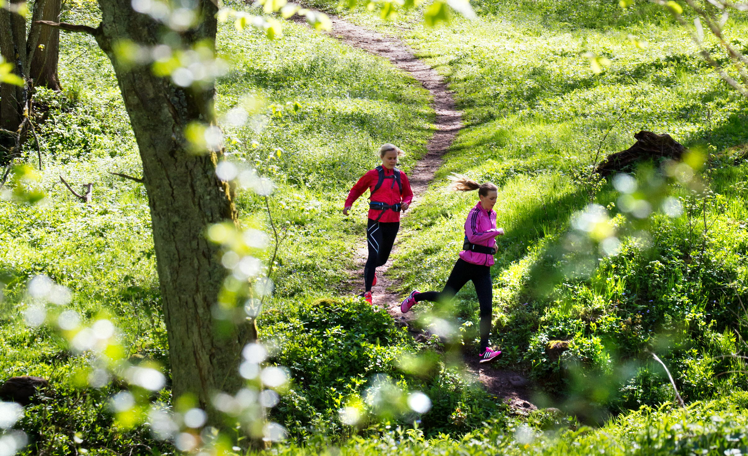 Two women are running on a path through the forest. 