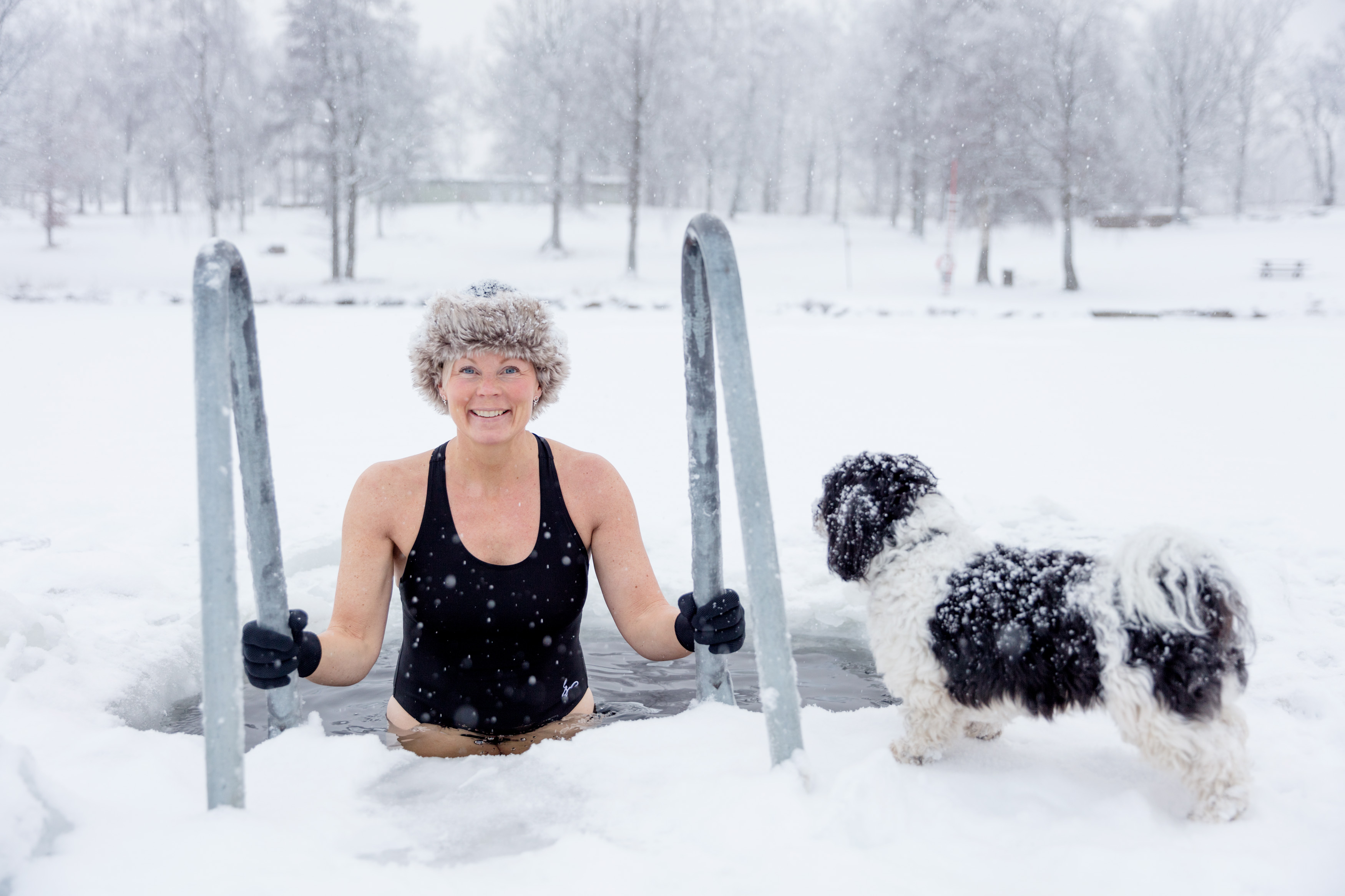 Winter swimmer on her way down into cold water surrounded by a snowy winter landscape by Simsjön in Skövde.