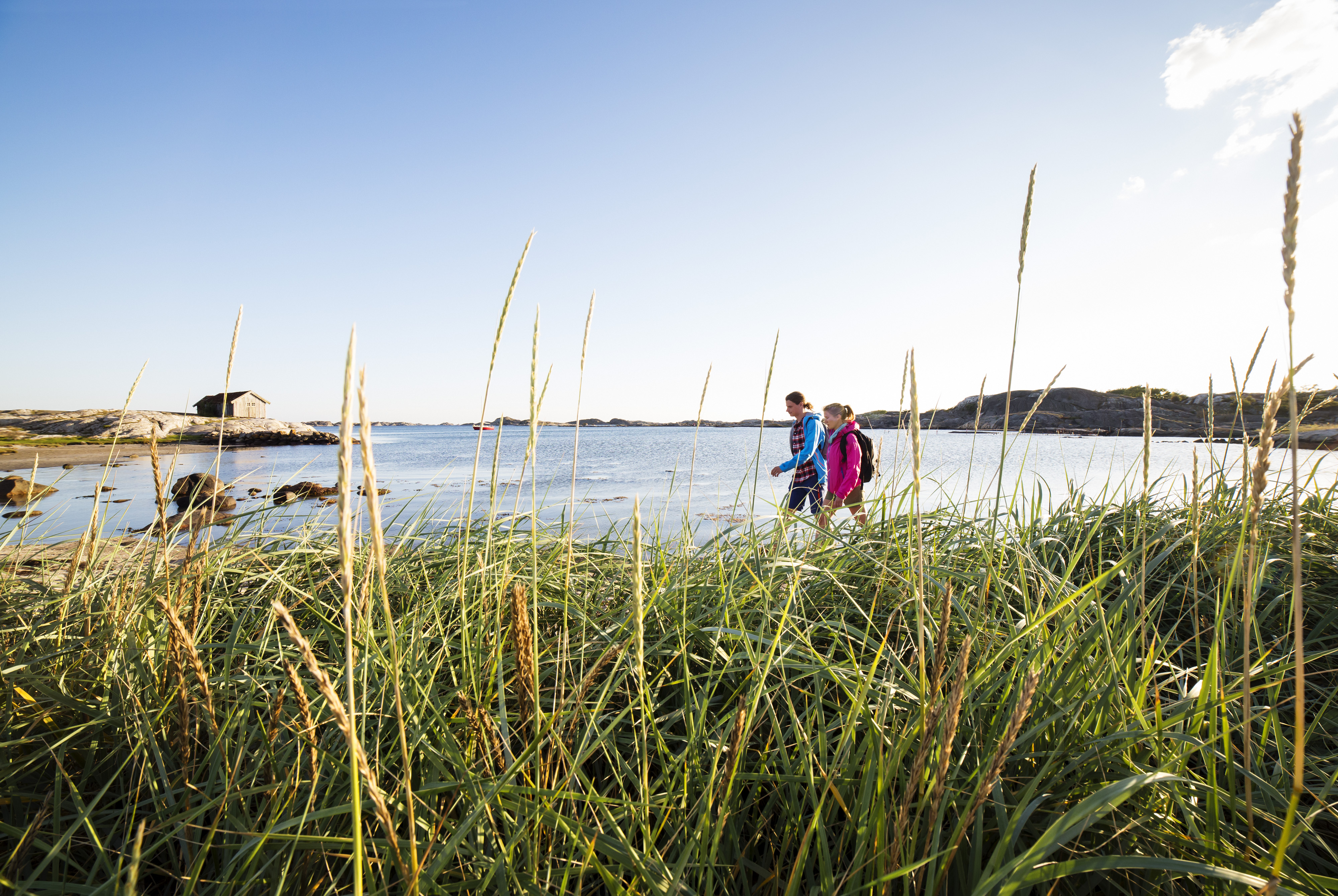 Two people are walking a long a beach at South Koster. Tall grass is in the foreground. 
