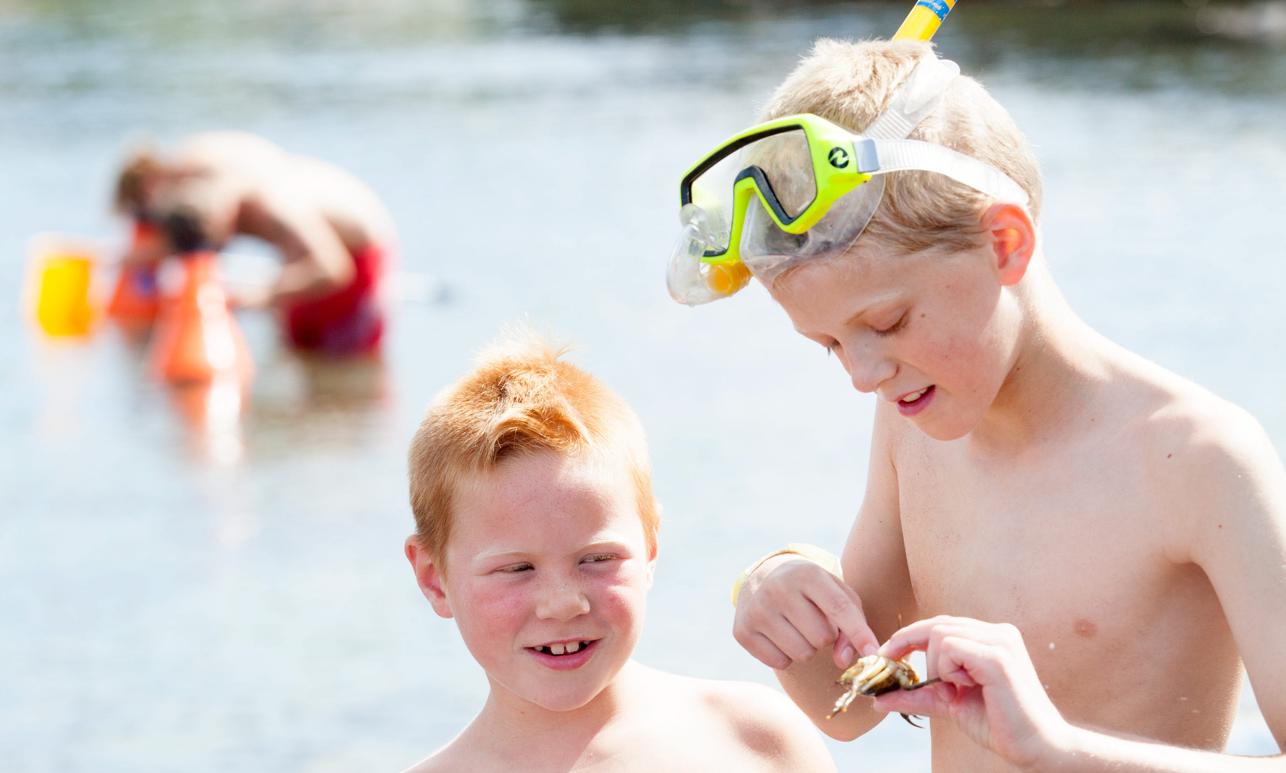 Kids wearing swimwear are standing on a beach, one of them is holding a small crab. 
