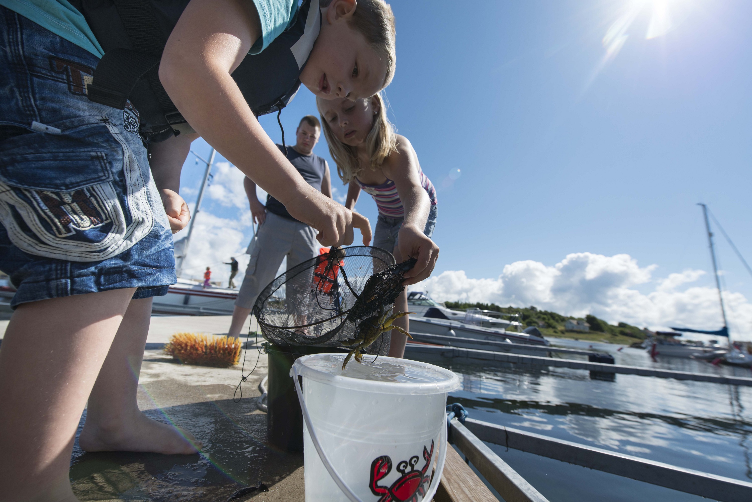 Children are fishing for crabs from a dock, a sunny summer's day at South Koster. 