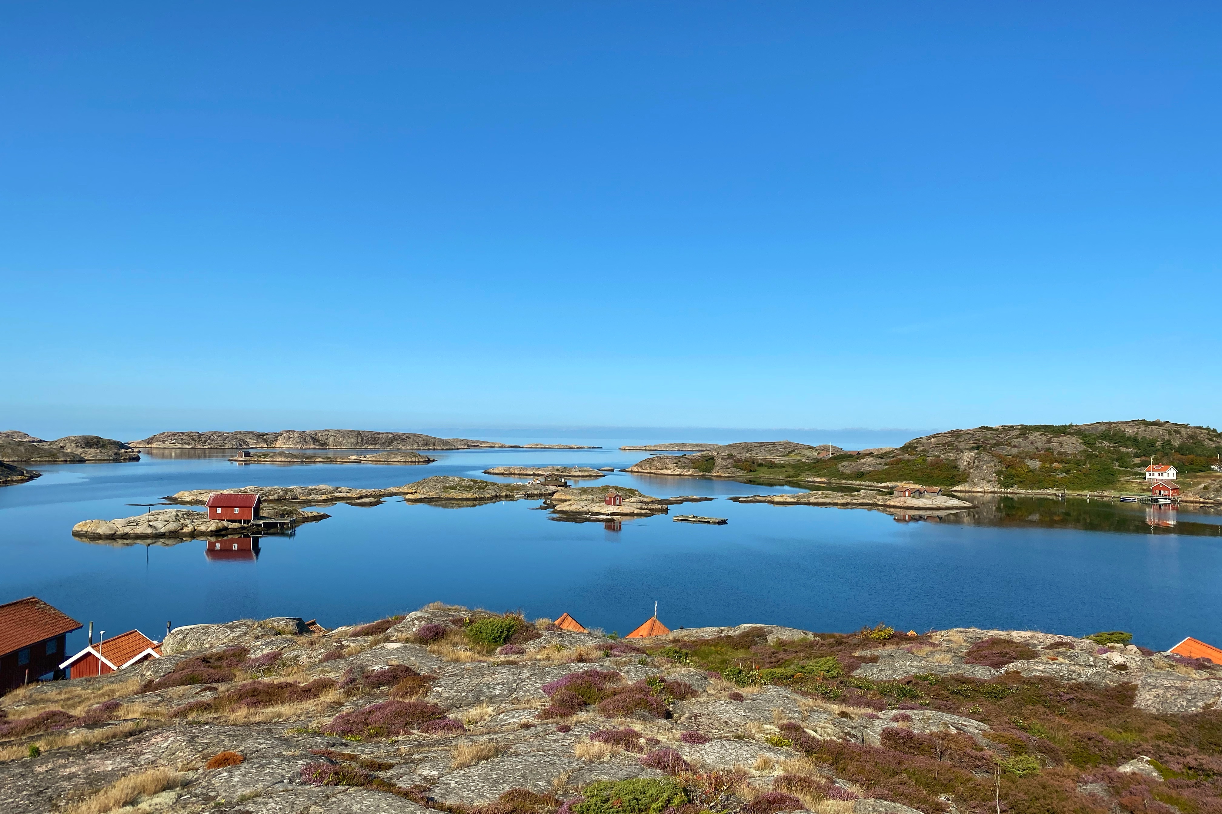 Grönemad, Grebbestad 210823. Foto Helena Krantz